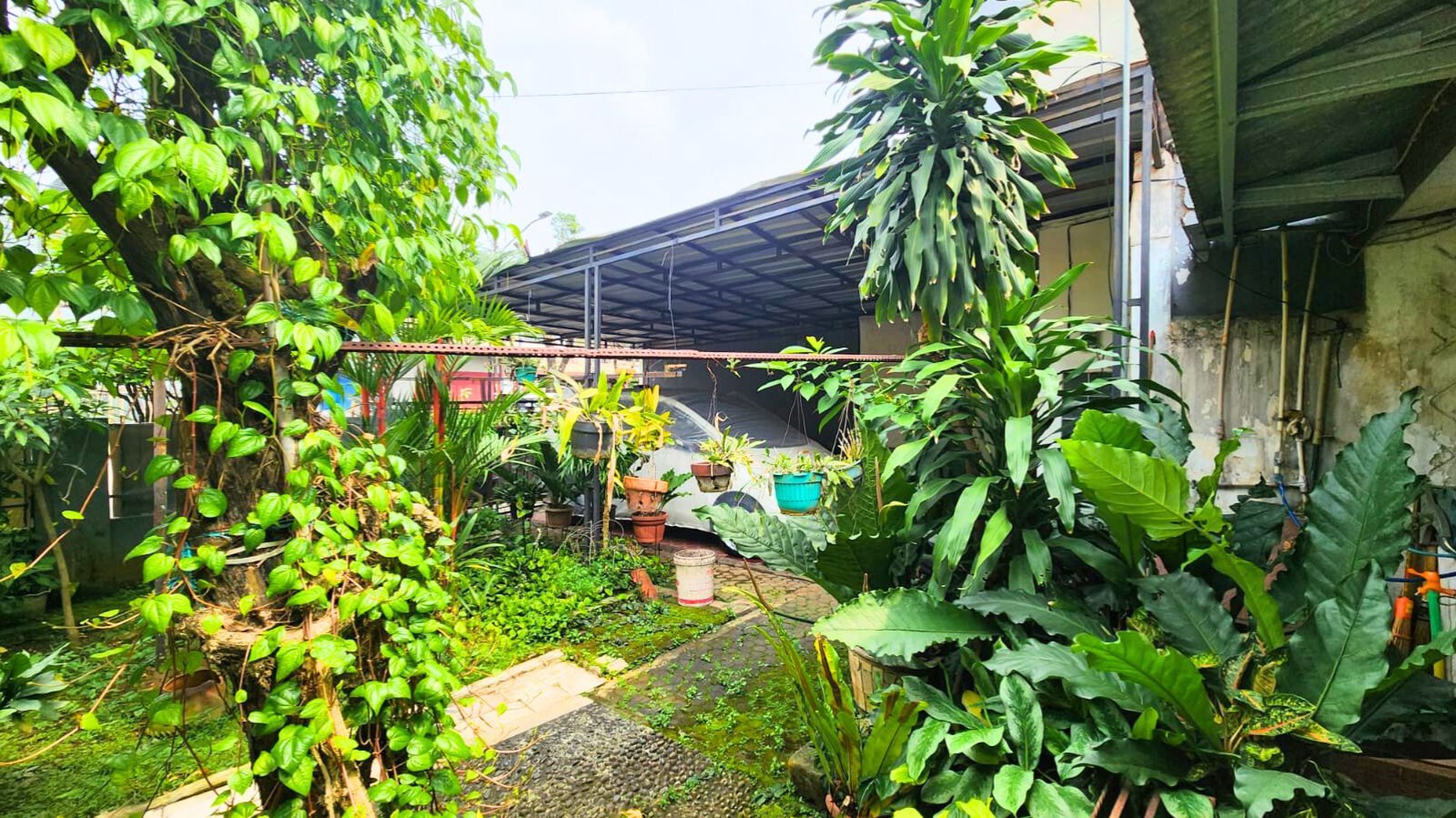 Rumah Lama sangat Asri dan Nyaman di Komplek Perdatam - Pancoran Jakarta Selatan
