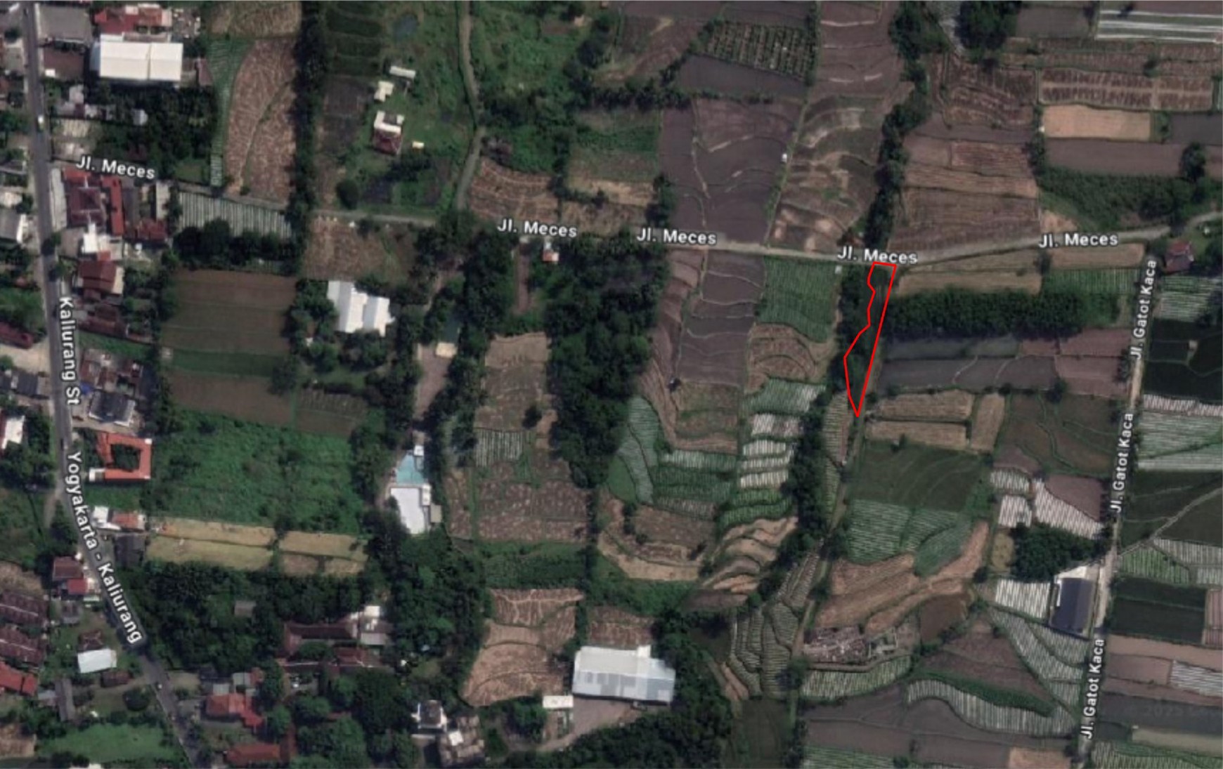 Tanah Sawah 1625 Meter Persegi, Cocok Untuk Pertanian Ataupun Perternakan, Umbulmartani Ngemplak Sleman