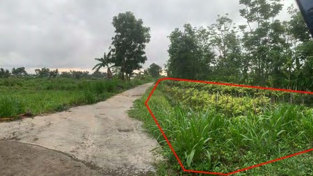 Tanah Sawah 1625 Meter Persegi, Cocok Untuk Pertanian Ataupun Perternakan, Umbulmartani Ngemplak Sleman
