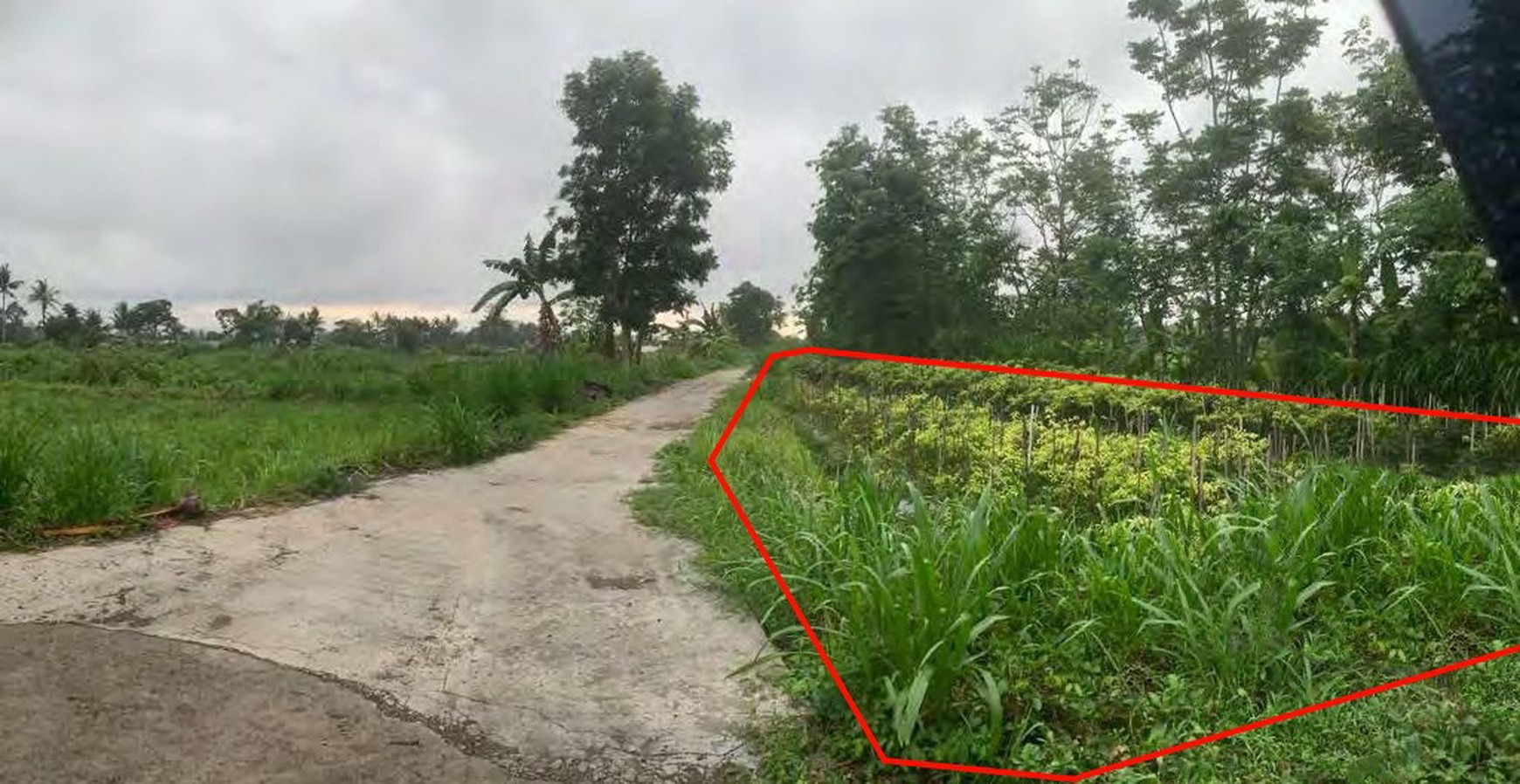Tanah Sawah 1625 Meter Persegi, Cocok Untuk Pertanian Ataupun Perternakan, Umbulmartani Ngemplak Sleman