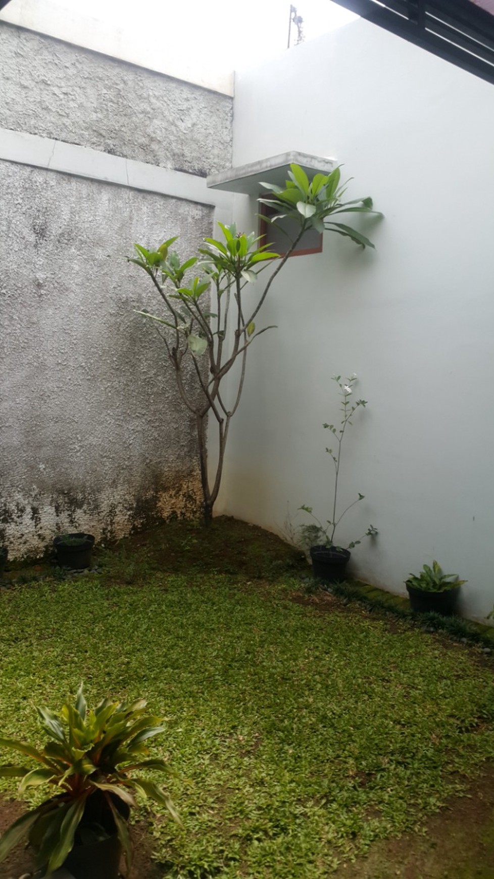 DIJUAL RUMAH TAMAN YASMIN SEKTOR 7 BOGOR