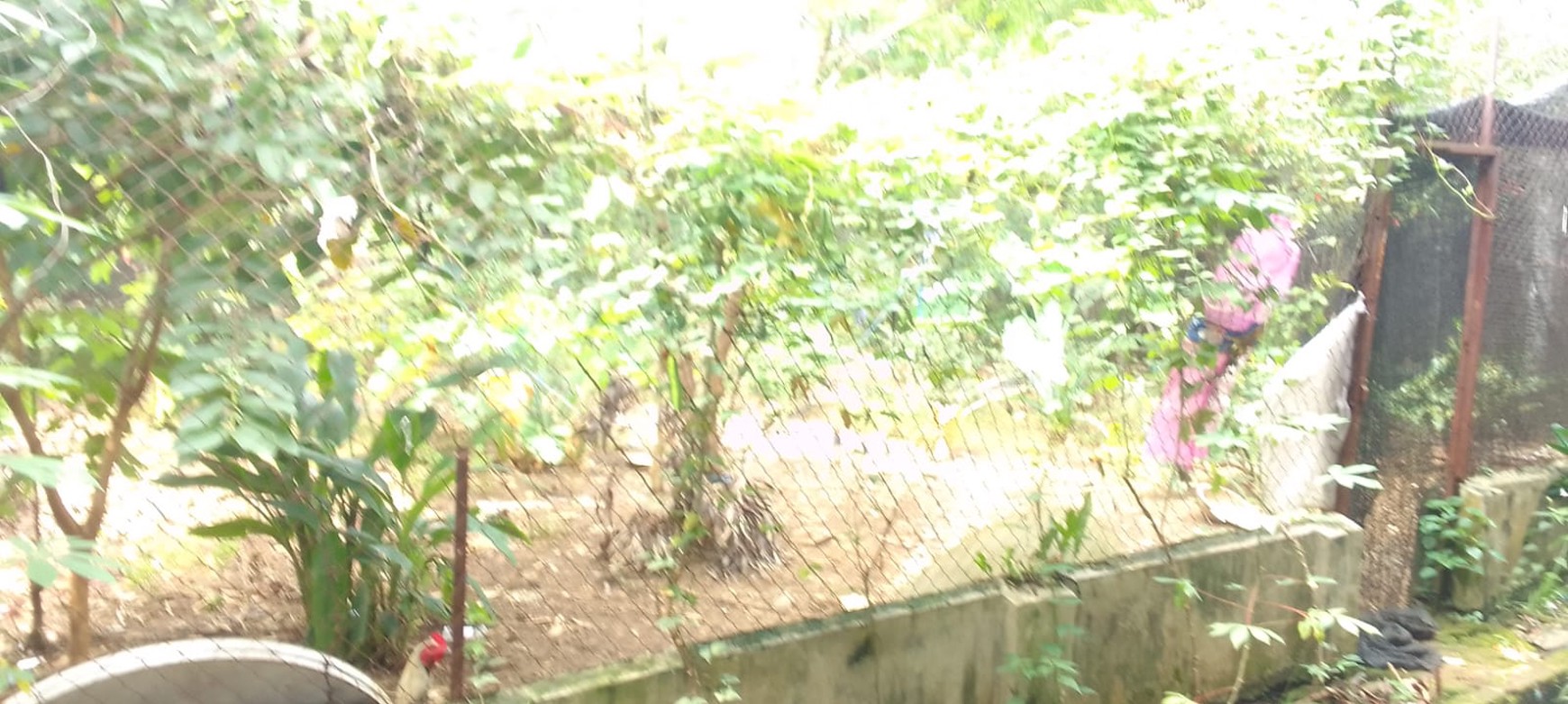 Rumah Dengan Luas Tanah 695 m2, Di Komplek Bharata Pura, Dekat Supermarket Jogya, 5 Menit Ke Tol BORR Bogor