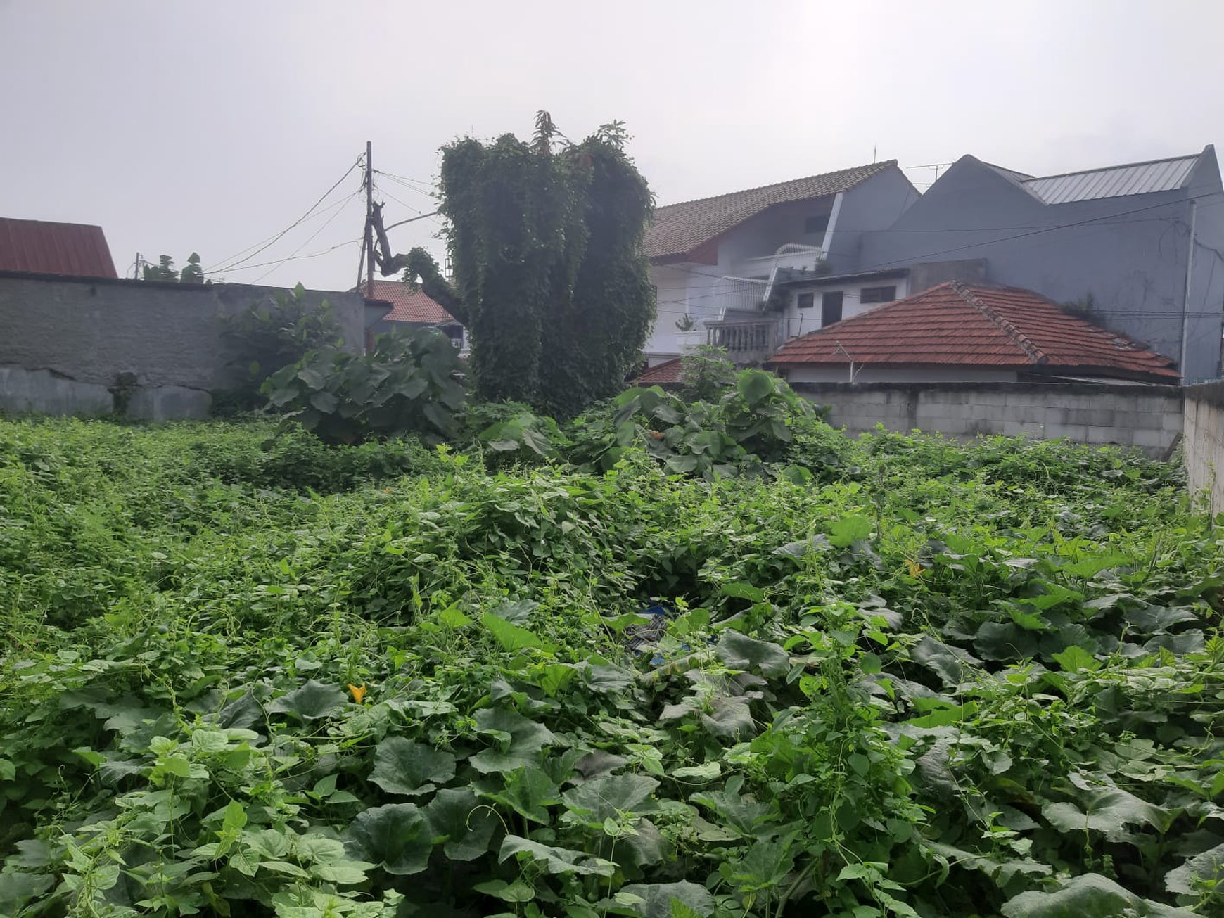 Kavling Siap Bangun Di Jl Merpati Pesanggrahan Jakarta Selatan