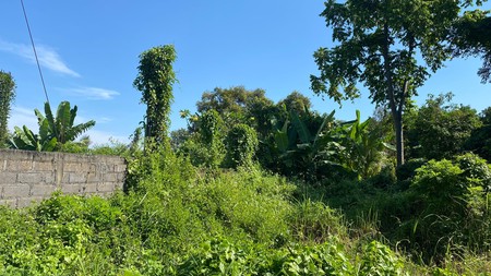 Strategic Land with High Development Potential