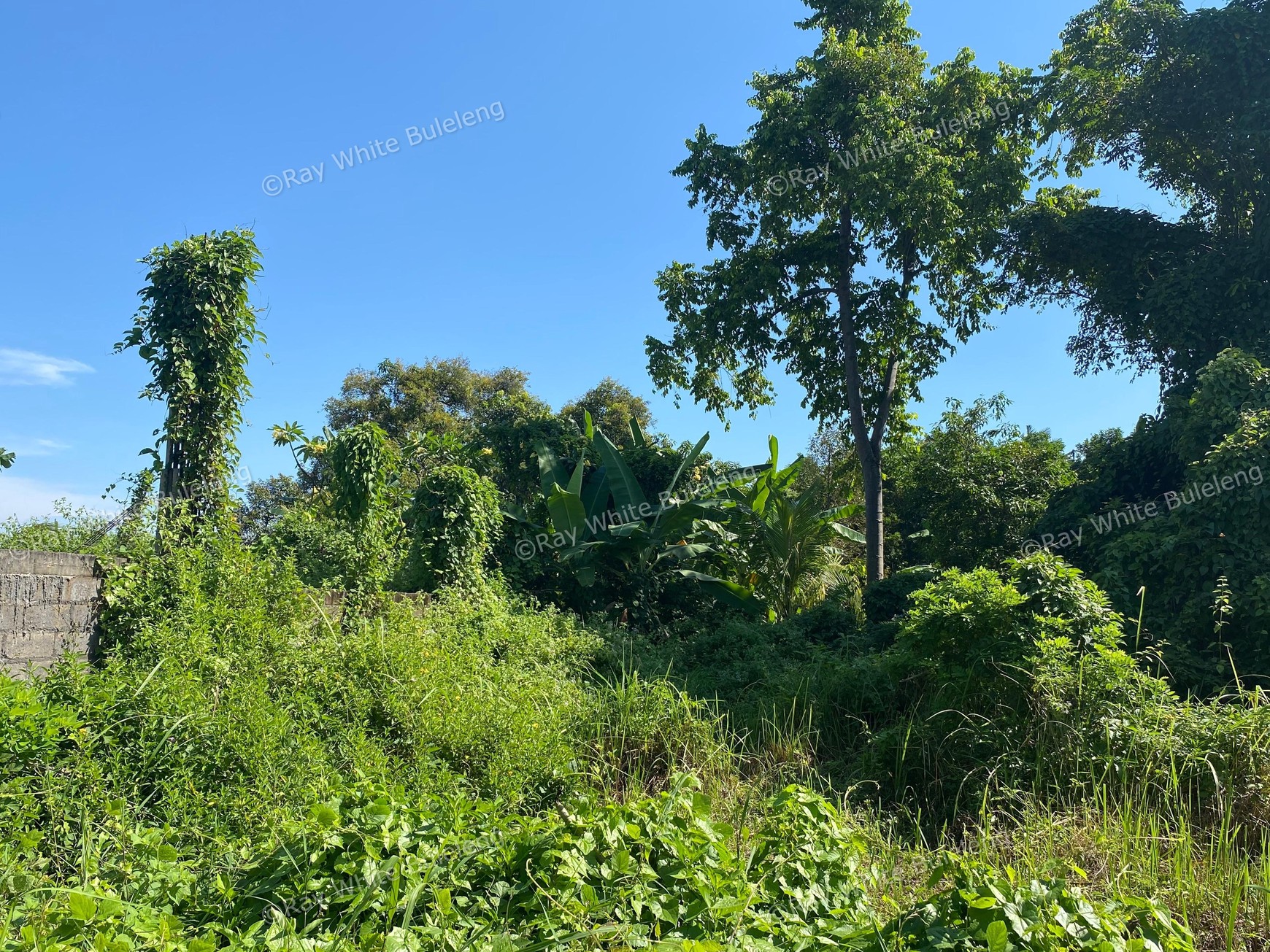 Strategic Land with High Development Potential
