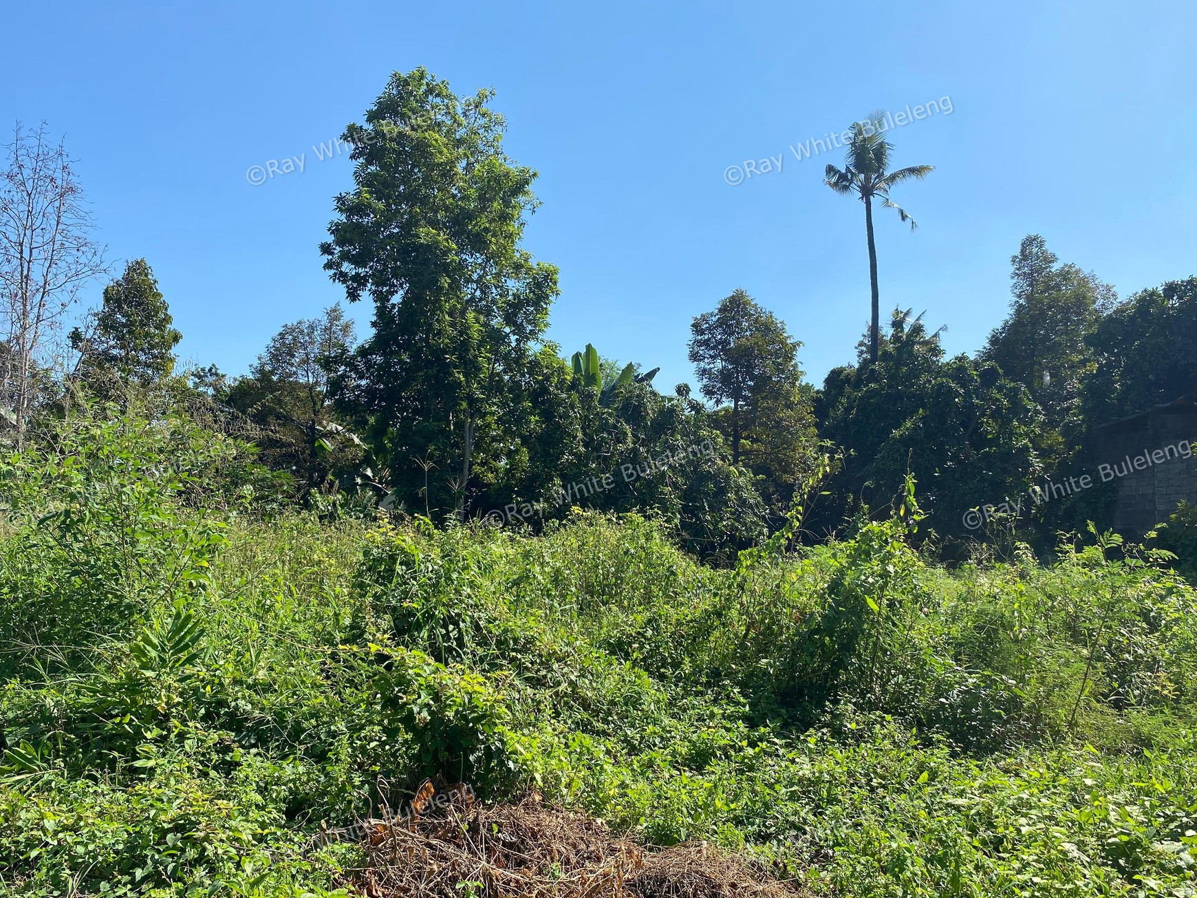 Strategic Land with High Development Potential