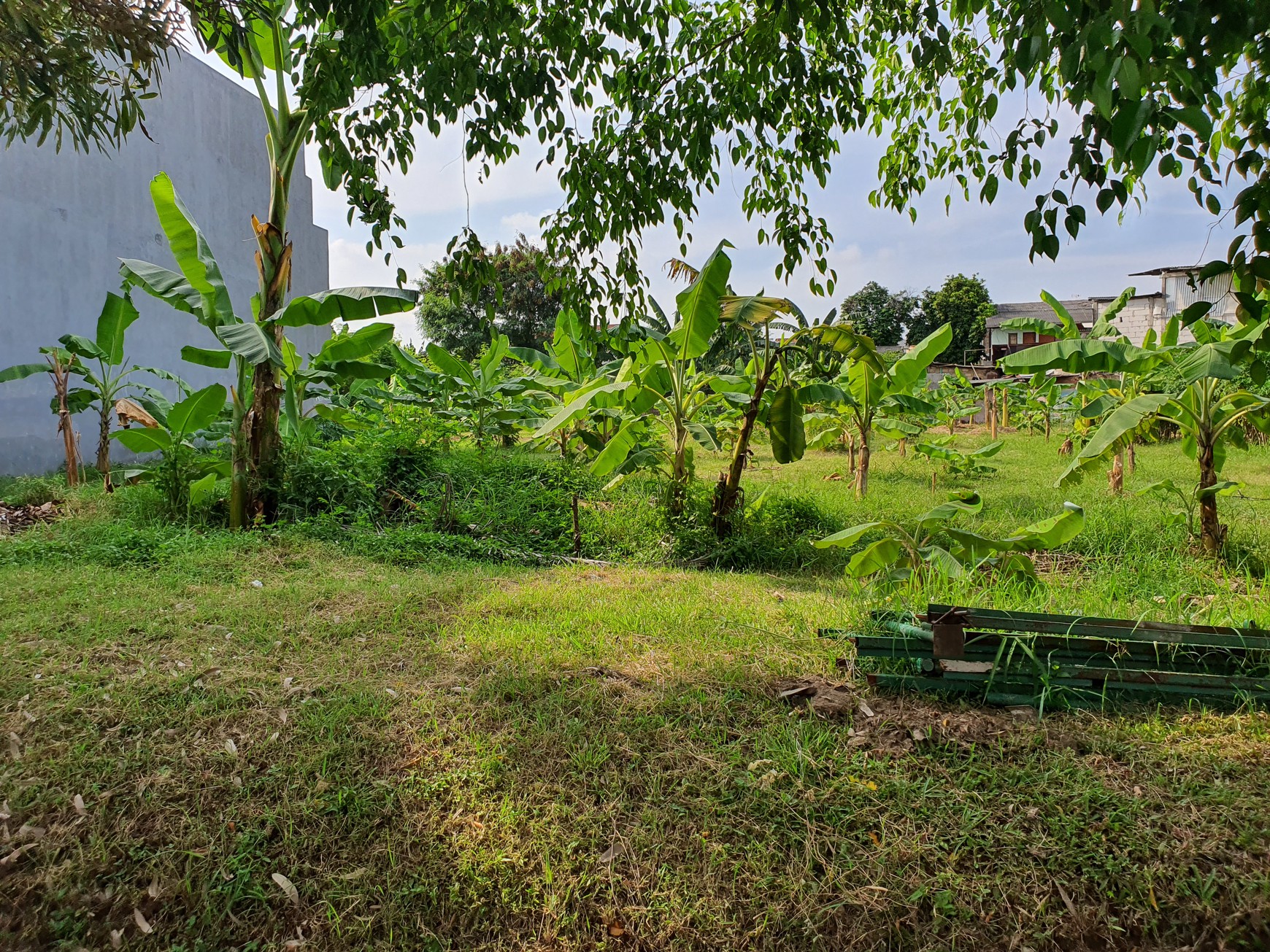 Di Jual Tanah Harga di bawah NJOP Jl Kelud Perumahan Jatinegara Baru LT : 2760 M