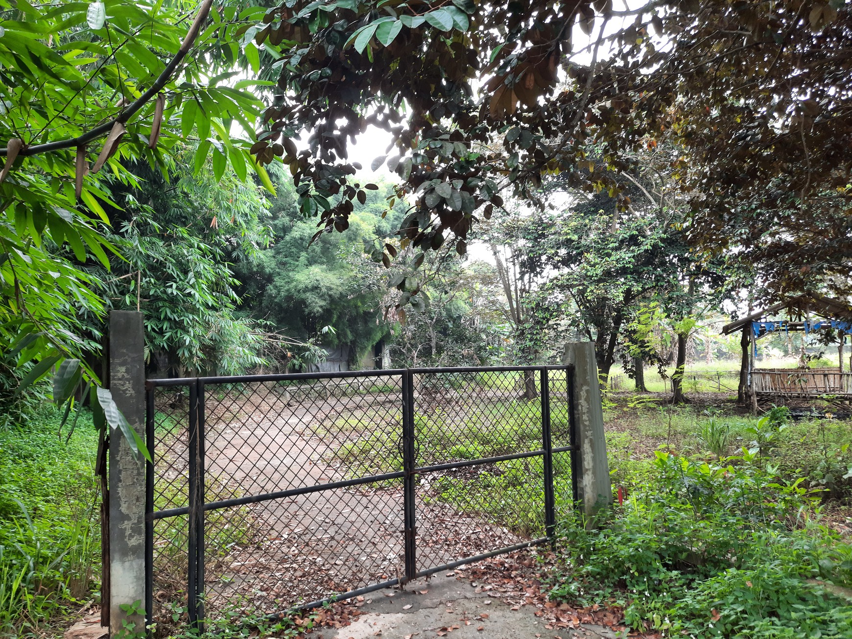 Di Jual Cepat Tanah Jl Setu Serang Cibening Bekasi
