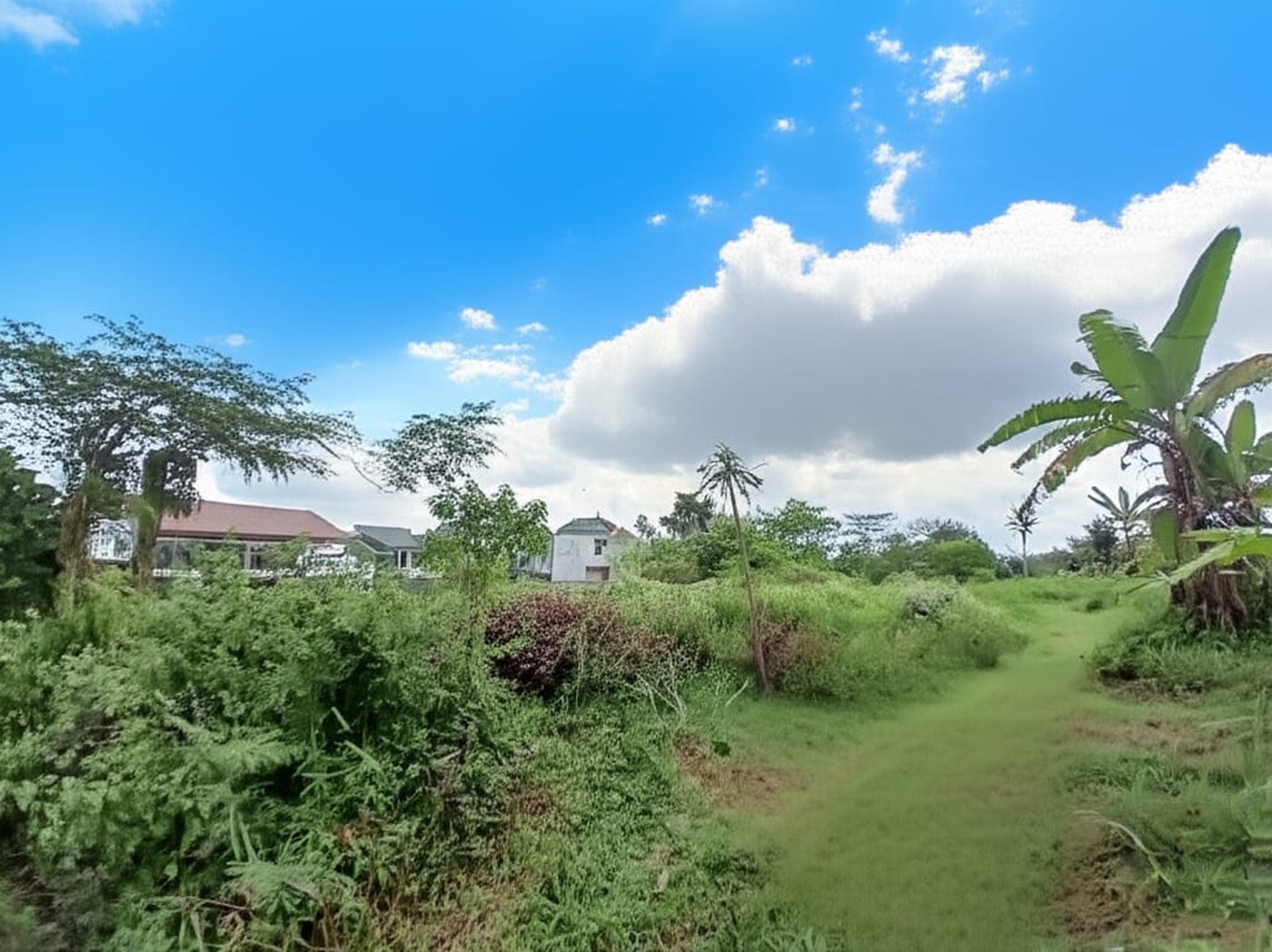 Tanah Pekarangan 1054 Meter persegi Cocok Untuk Cluster Lokasi Dekat SCH Sleman