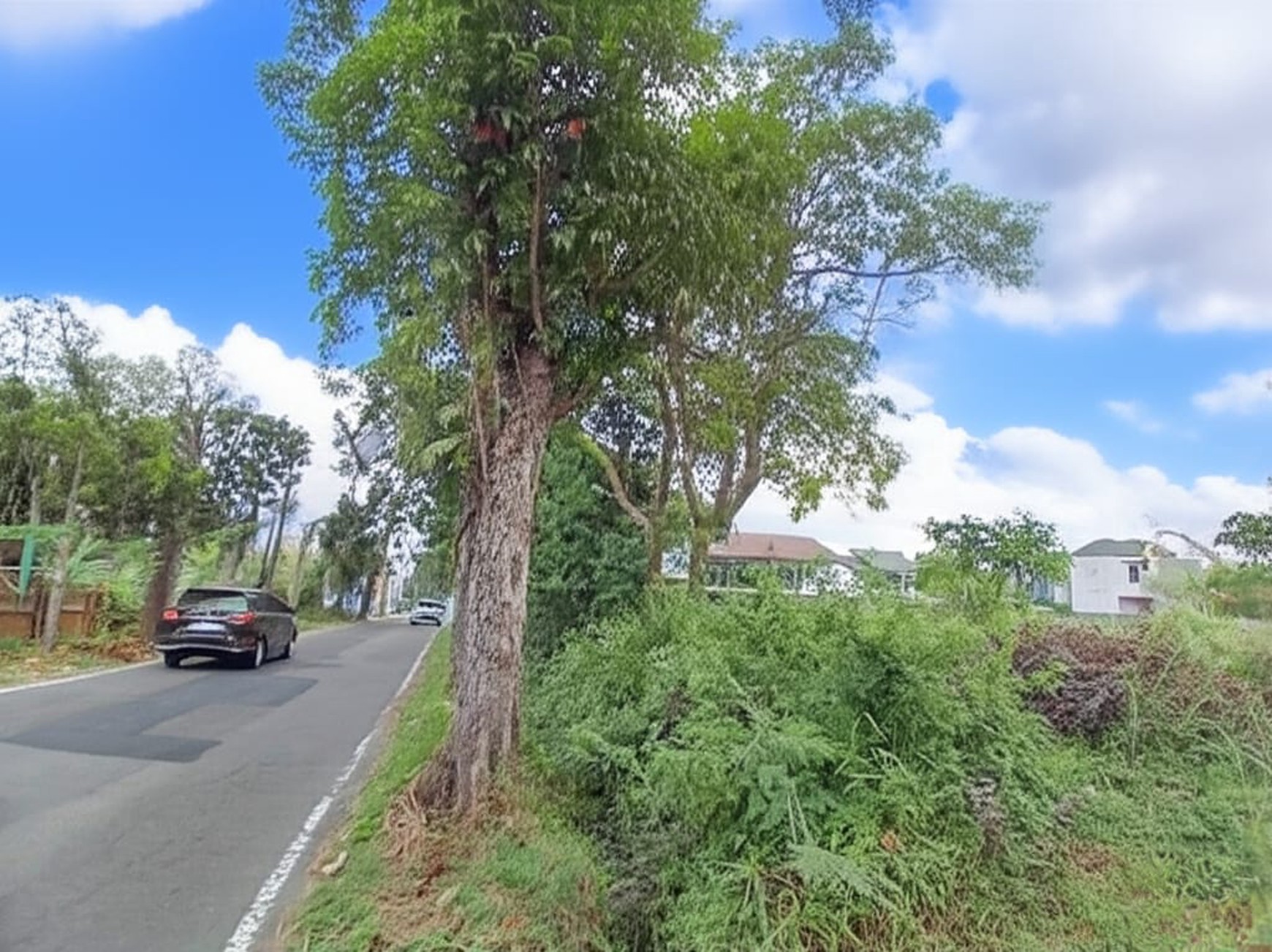 Tanah Pekarangan 1054 Meter persegi Cocok Untuk Cluster Lokasi Dekat SCH Sleman