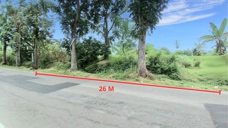 Tanah Pekarangan 1054 Meter persegi Cocok Untuk Cluster Lokasi Dekat SCH Sleman