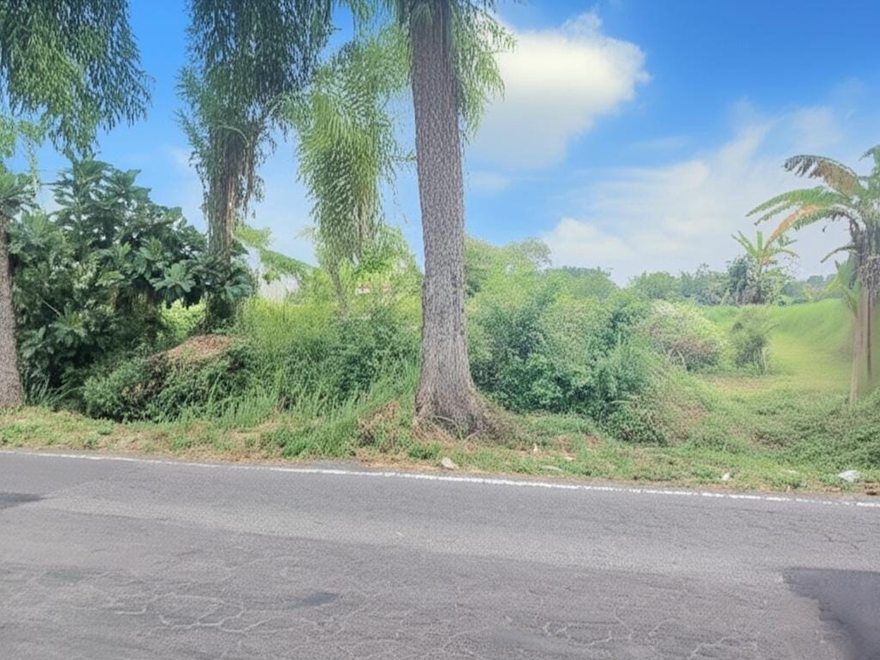 Tanah Pekarangan 1054 Meter persegi Cocok Untuk Cluster Lokasi Dekat SCH Sleman