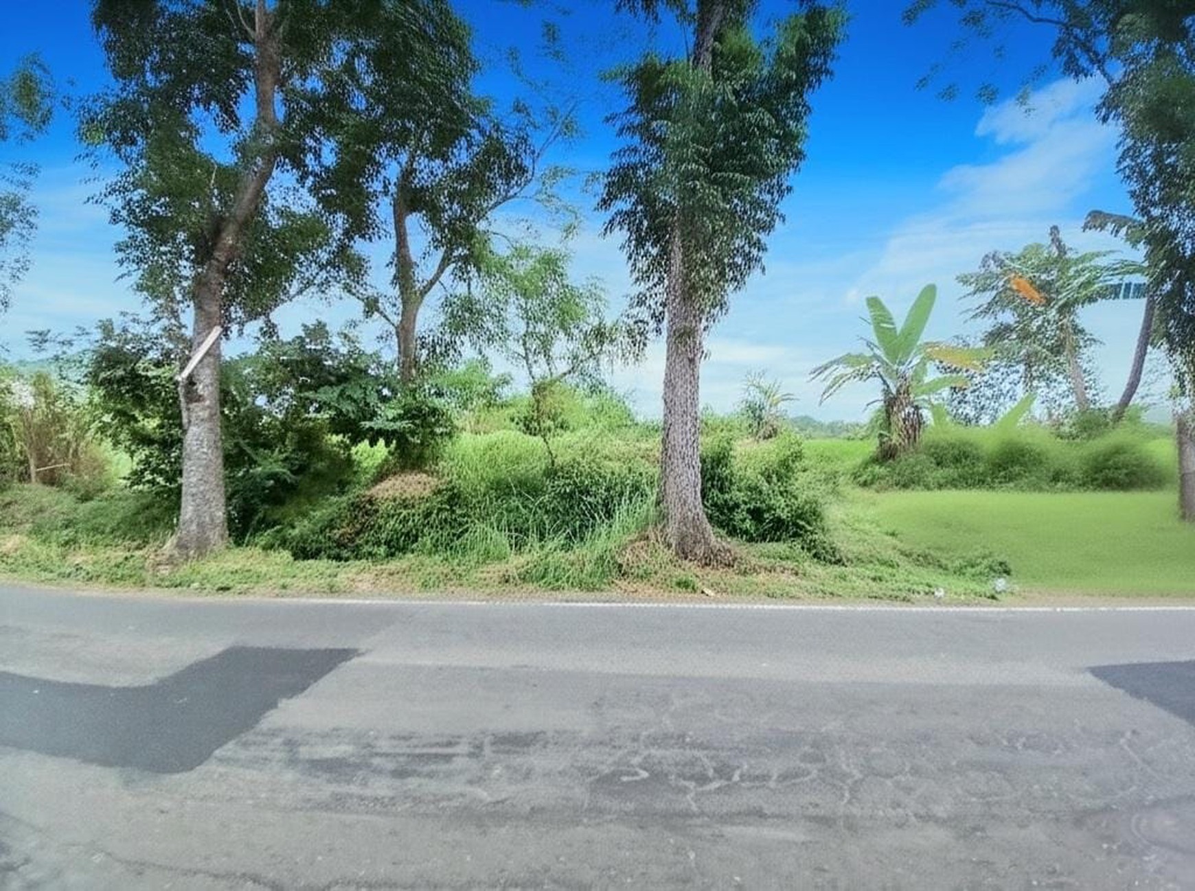 Tanah Pekarangan 1054 Meter persegi Cocok Untuk Cluster Lokasi Dekat SCH Sleman
