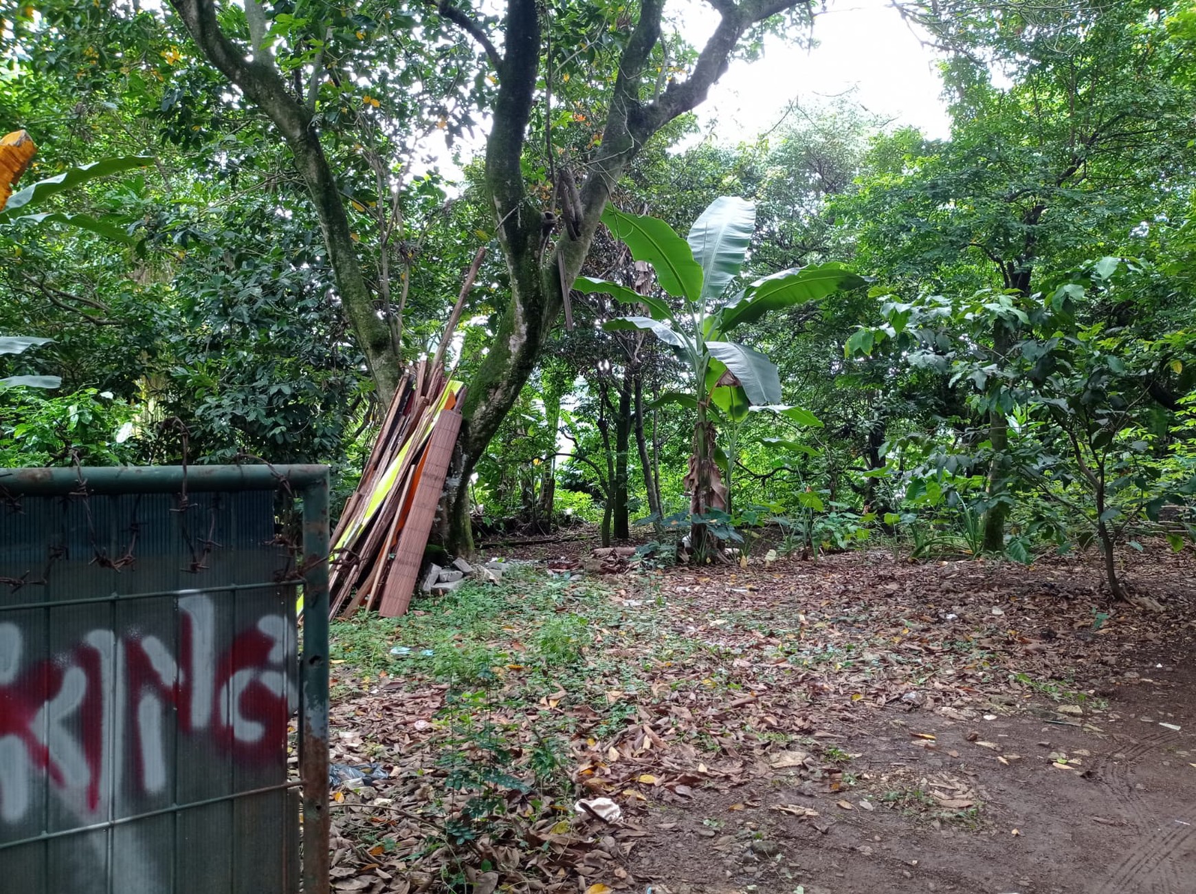 Ragunan dekat paso tanah luas 1000 harga cantik