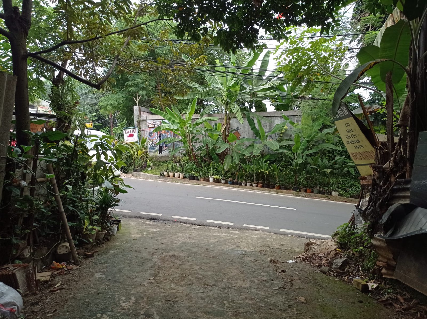 Ragunan dekat paso tanah luas 1000 harga cantik