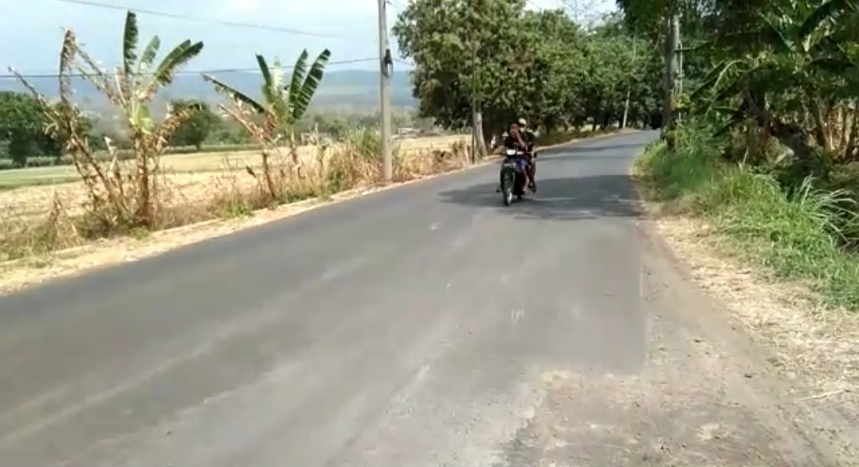 Murah Dijual 8,5 Ha Tanah Nol Jalan Raya Purwodadi - Pasuruan - Jawa Timur - Akses Kontainer- Row Jalan Lebar Cocok Buat Industri , Gudang, Pabrik, Perumahan
