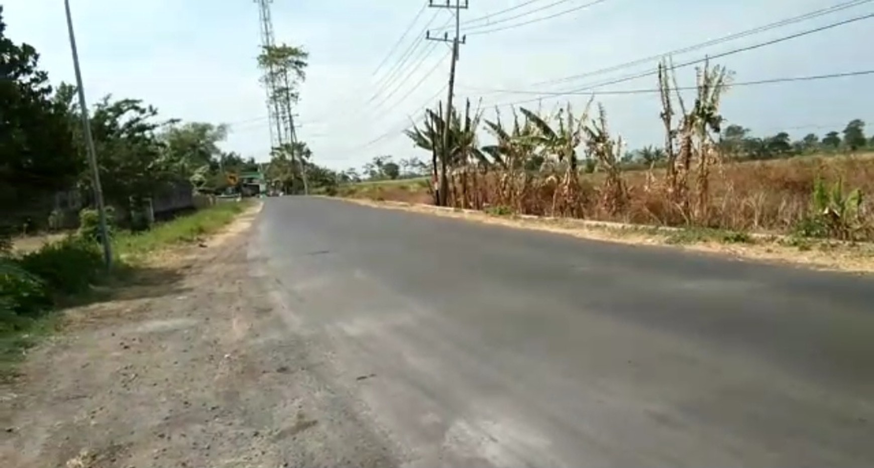 Murah Dijual 8,5 Ha Tanah Nol Jalan Raya Purwodadi - Pasuruan - Jawa Timur - Akses Kontainer- Row Jalan Lebar Cocok Buat Industri , Gudang, Pabrik, Perumahan
