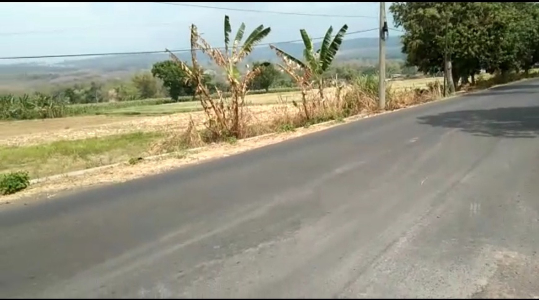 Murah Dijual 8,5 Ha Tanah Nol Jalan Raya Purwodadi - Pasuruan - Jawa Timur - Akses Kontainer- Row Jalan Lebar Cocok Buat Industri , Gudang, Pabrik, Perumahan
