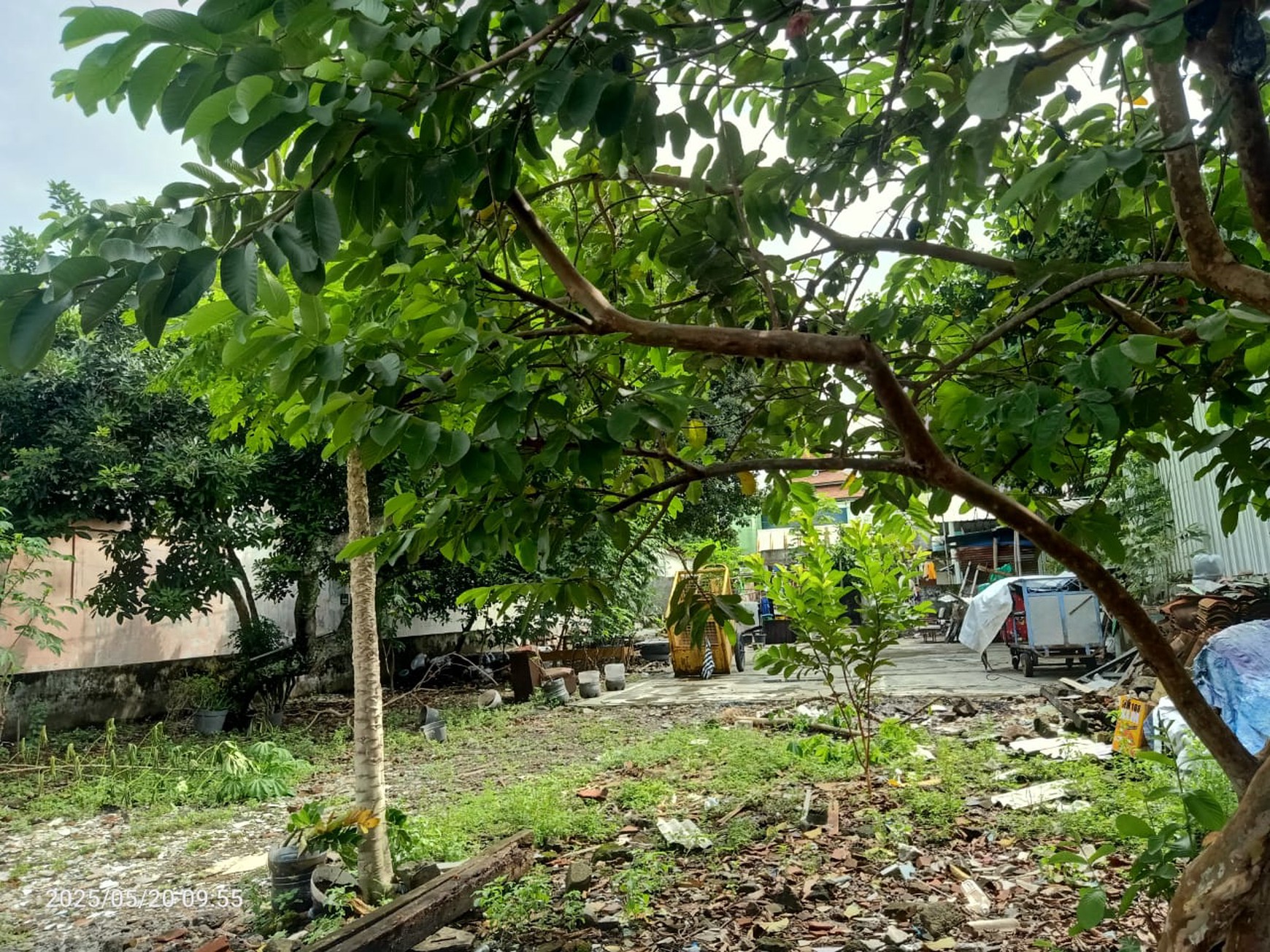 Tanah 517 Meter Persegi Cocok Untuk Kost Lokasi Dekat Lippo Plaza Gondokusuman Yogyakarta