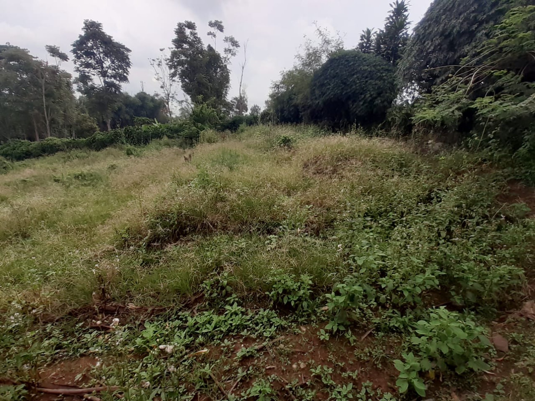 Dijual Tanah Siap Bangun di Belakang KCIC Padalarang