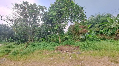 TANAH KAVLING STRATEGIS DEKAT IPB DRAMAGA BOGOR, AKSES MUDAH KE SENTUL CITY