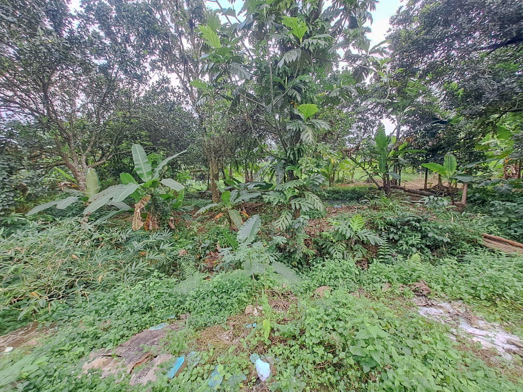 TANAH KAVLING STRATEGIS DEKAT IPB DRAMAGA BOGOR, AKSES MUDAH KE SENTUL CITY