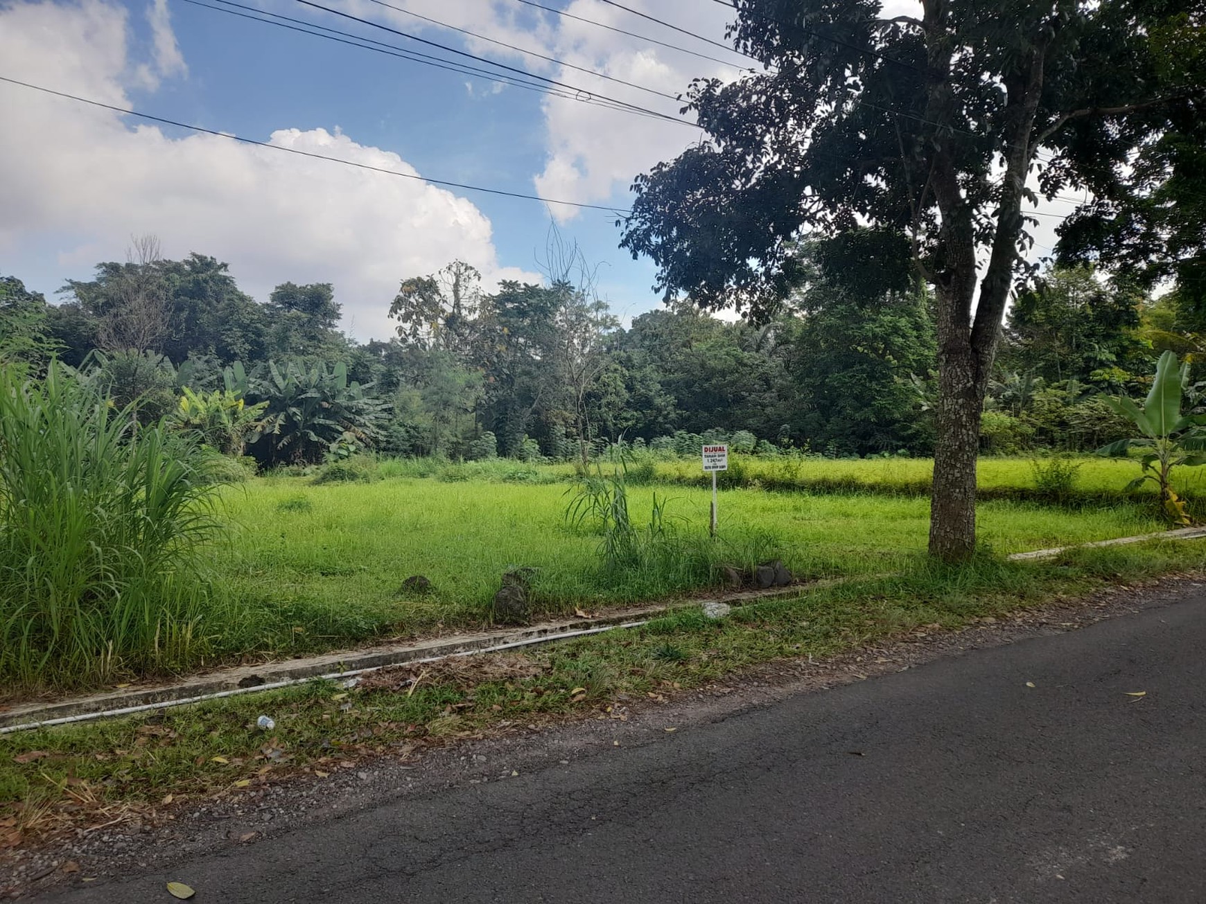 Tanah SHM Luas 1247 Meter Persegi Lokasi Strategis di Pandowoharjo Sleman 