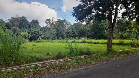 Tanah SHM Luas 1247 Meter Persegi Lokasi Strategis di Pandowoharjo Sleman 