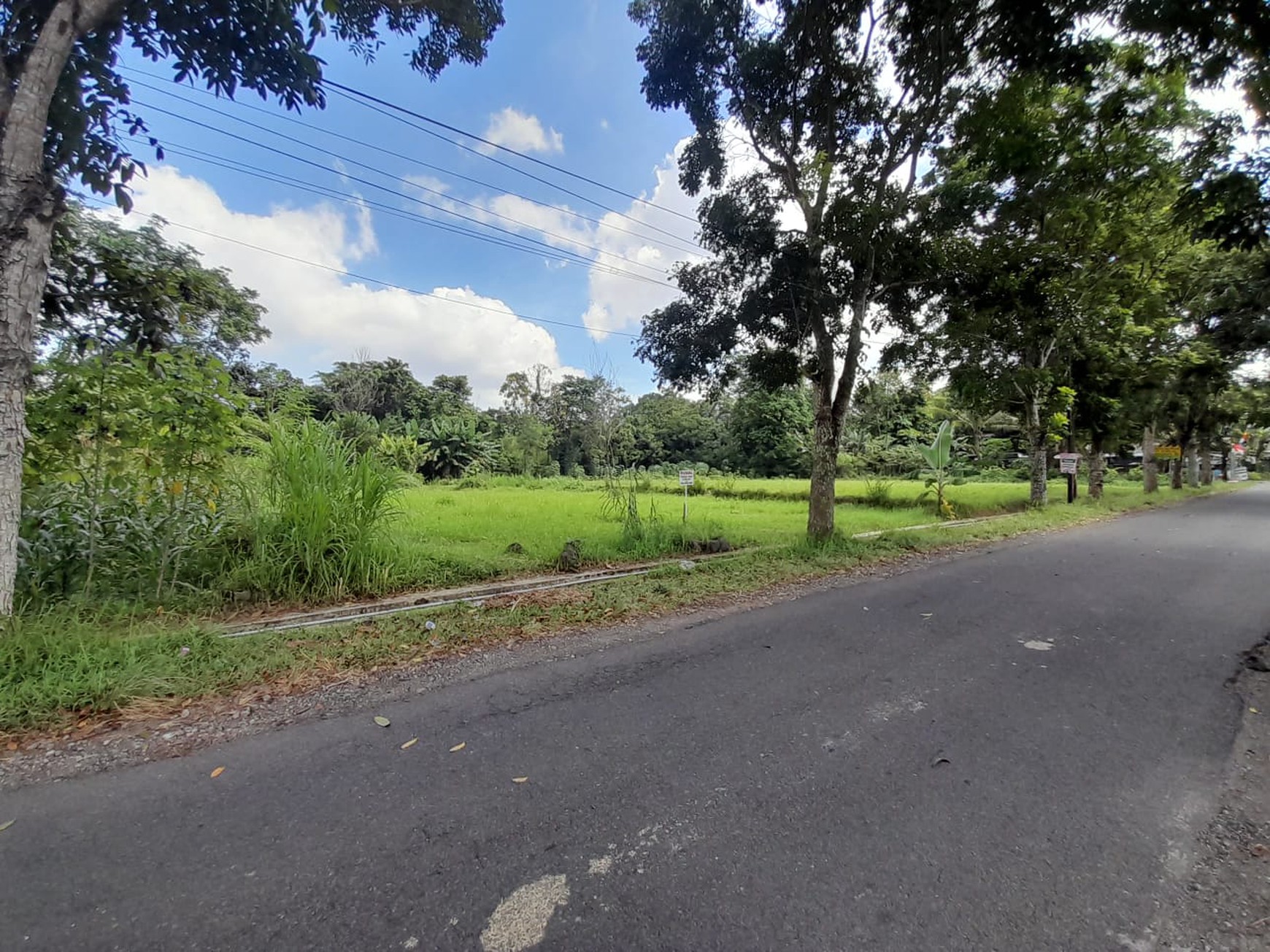 Tanah SHM Luas 1247 Meter Persegi Lokasi Strategis di Pandowoharjo Sleman 