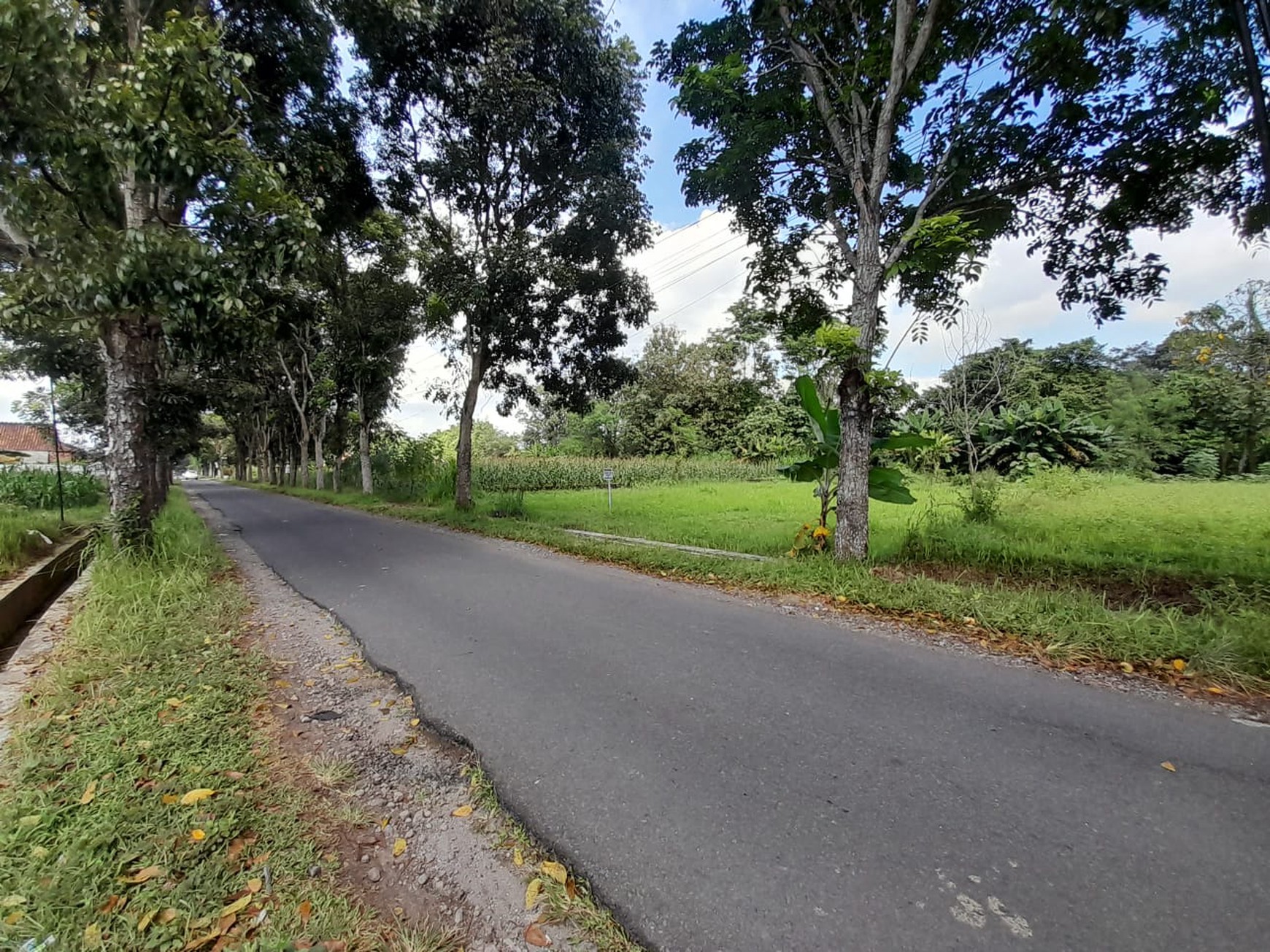 Tanah SHM Luas 1247 Meter Persegi Lokasi Strategis di Pandowoharjo Sleman 