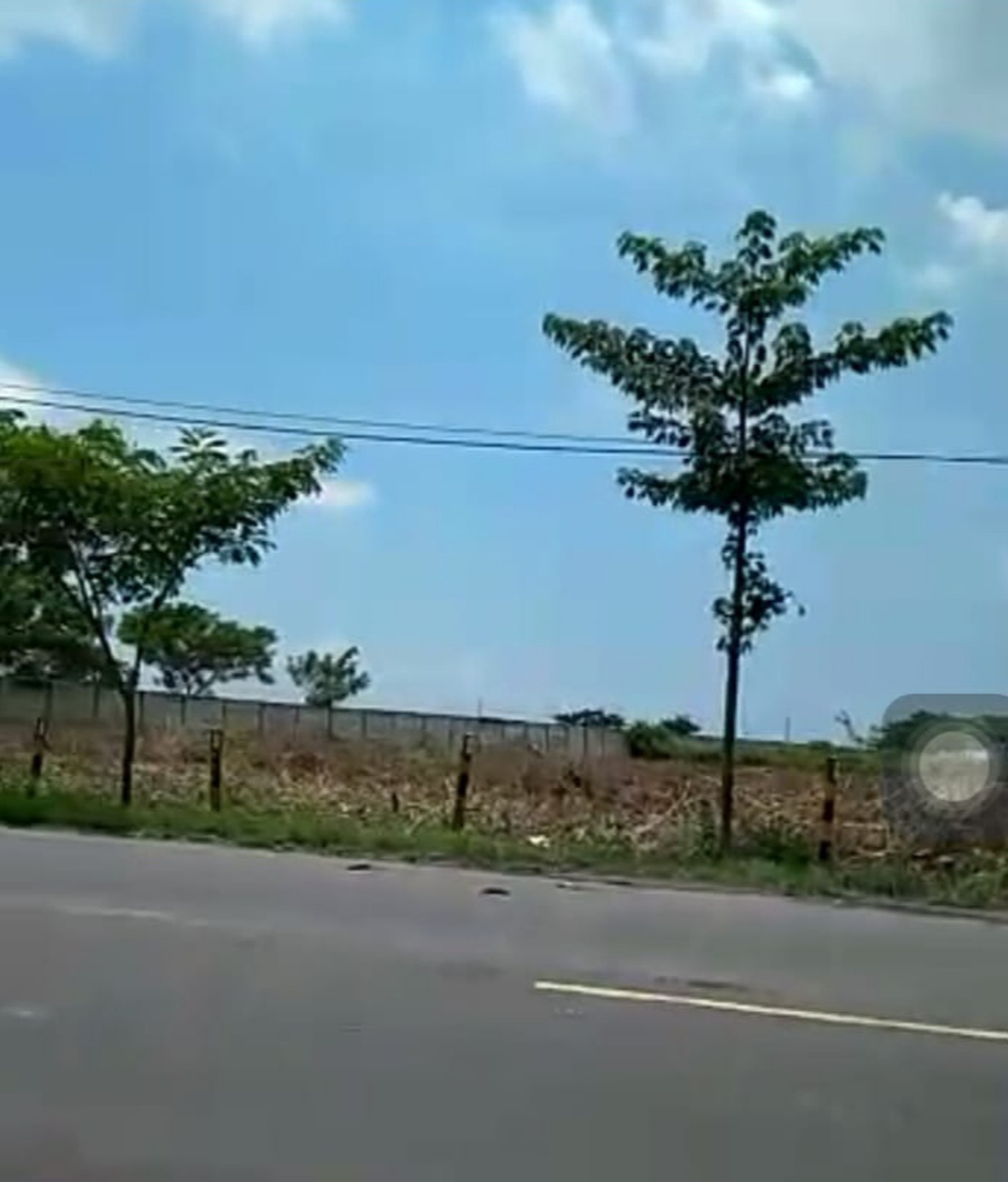 1763. Dijual Tanah Industri Raya Tuban Babat kec Widang Tuban