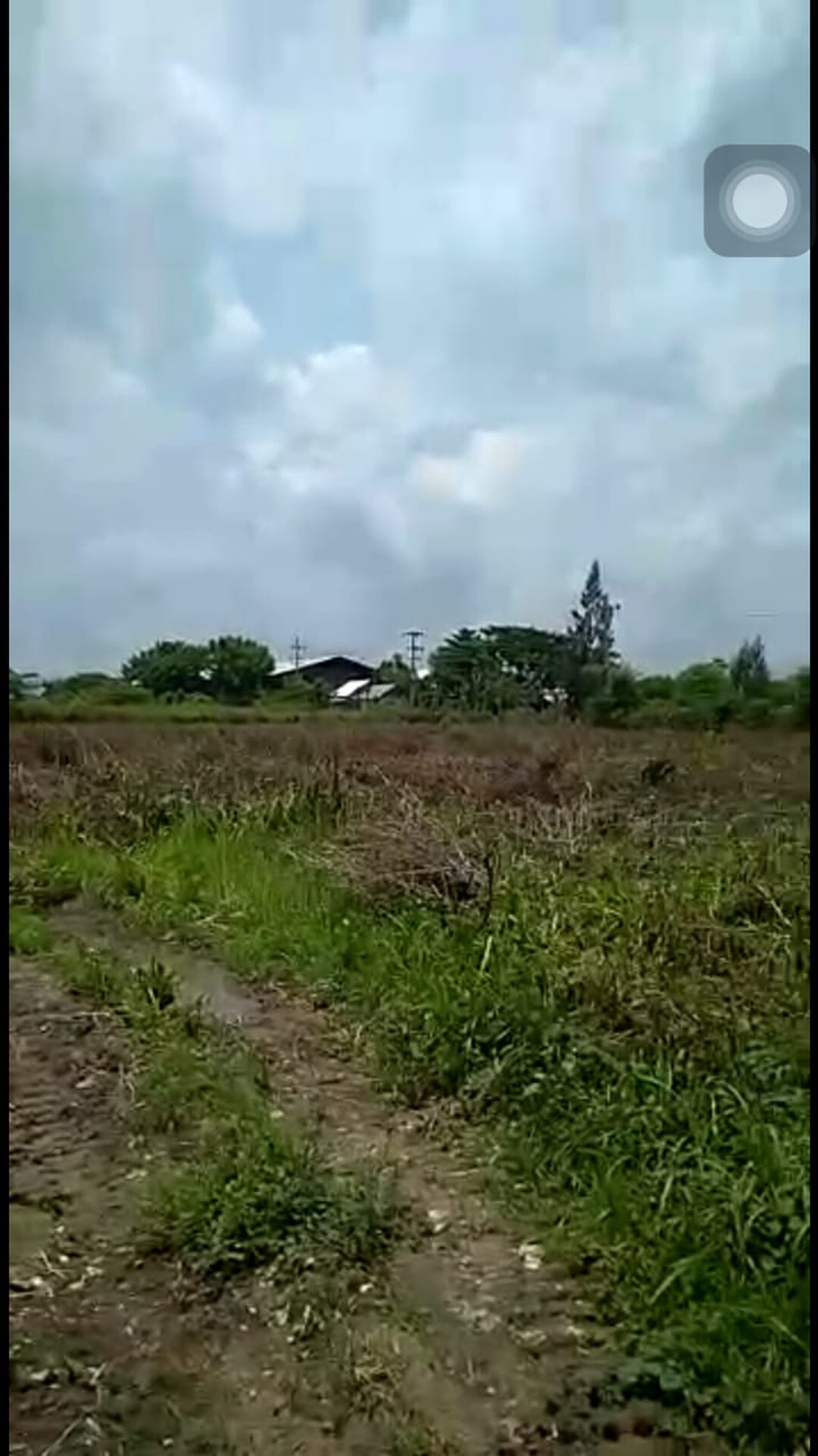 1763. Dijual Tanah Industri Raya Tuban Babat kec Widang Tuban