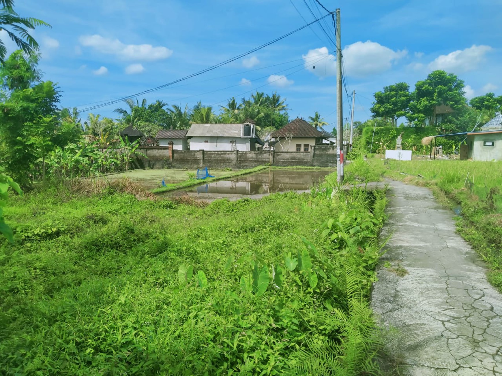 Scenic 2 Are Leasehold Land in Ubud with Rice Field View