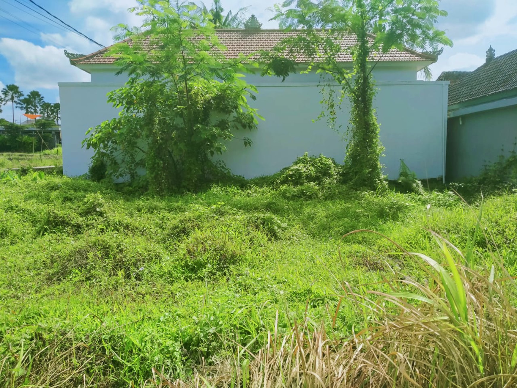 Scenic 2 Are Leasehold Land in Ubud with Rice Field View