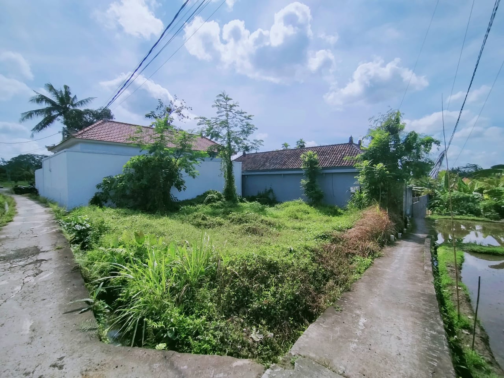 Scenic 2 Are Leasehold Land in Ubud with Rice Field View