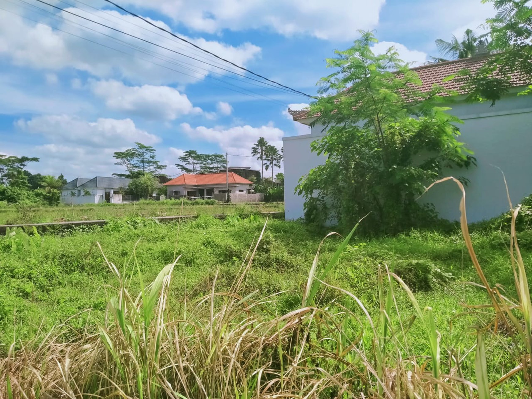 Scenic 2 Are Leasehold Land in Ubud with Rice Field View