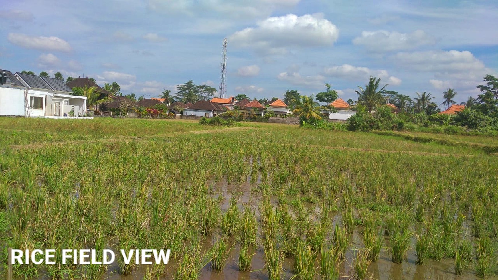 Scenic 2 Are Leasehold Land in Ubud with Rice Field View