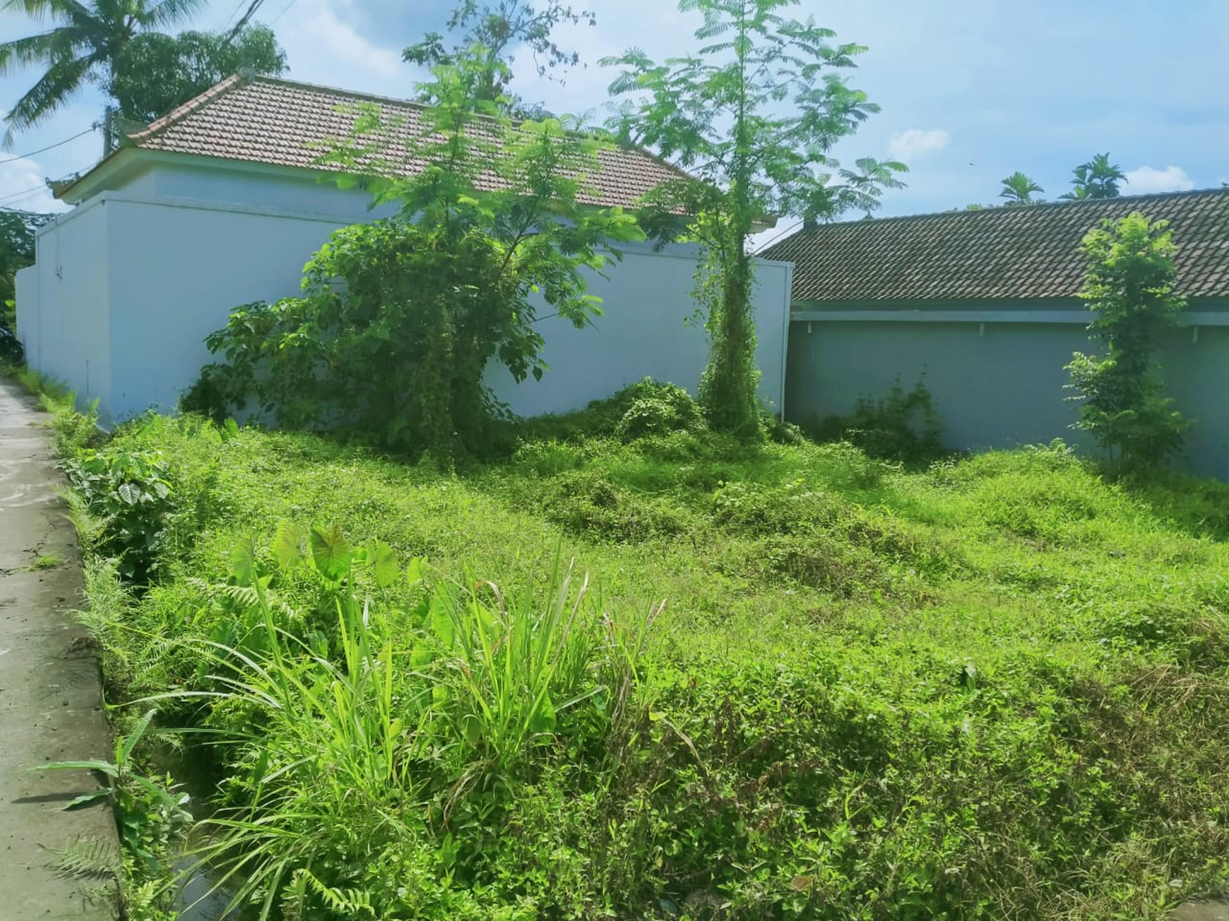 Scenic 2 Are Leasehold Land in Ubud with Rice Field View