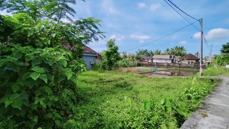 Scenic 2 Are Leasehold Land in Ubud with Rice Field View