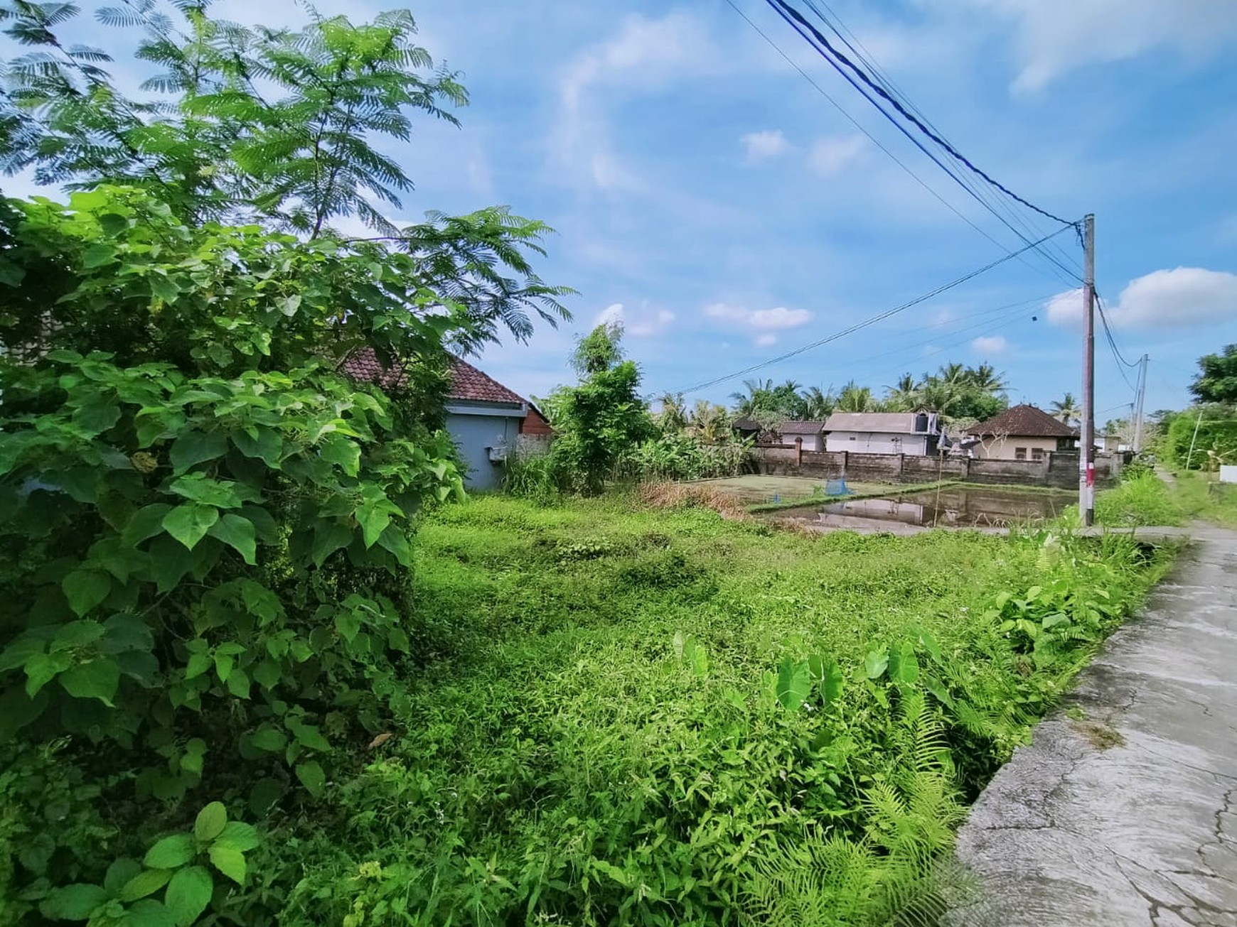 Scenic 2 Are Leasehold Land in Ubud with Rice Field View