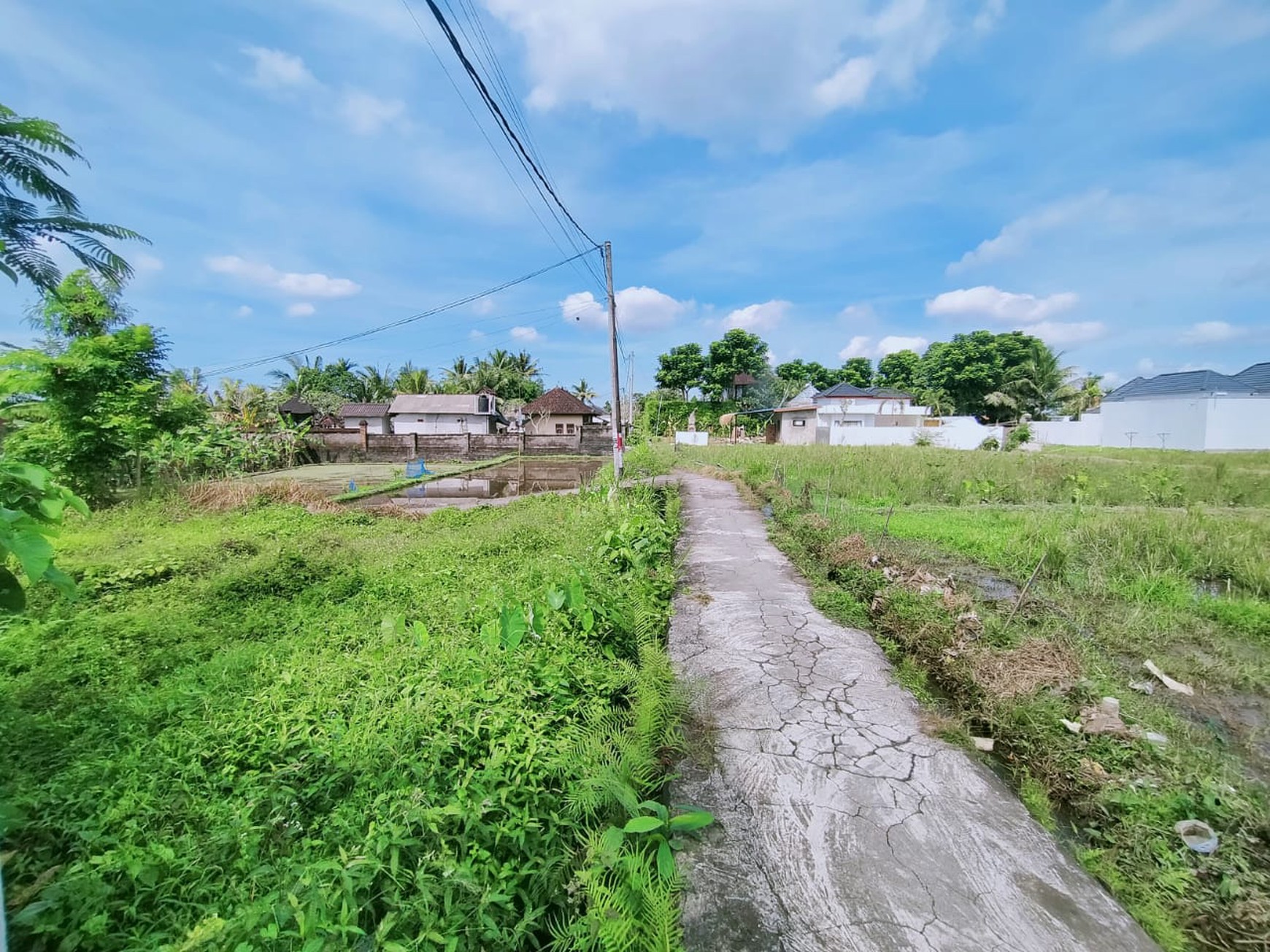 Scenic 2 Are Leasehold Land in Ubud with Rice Field View