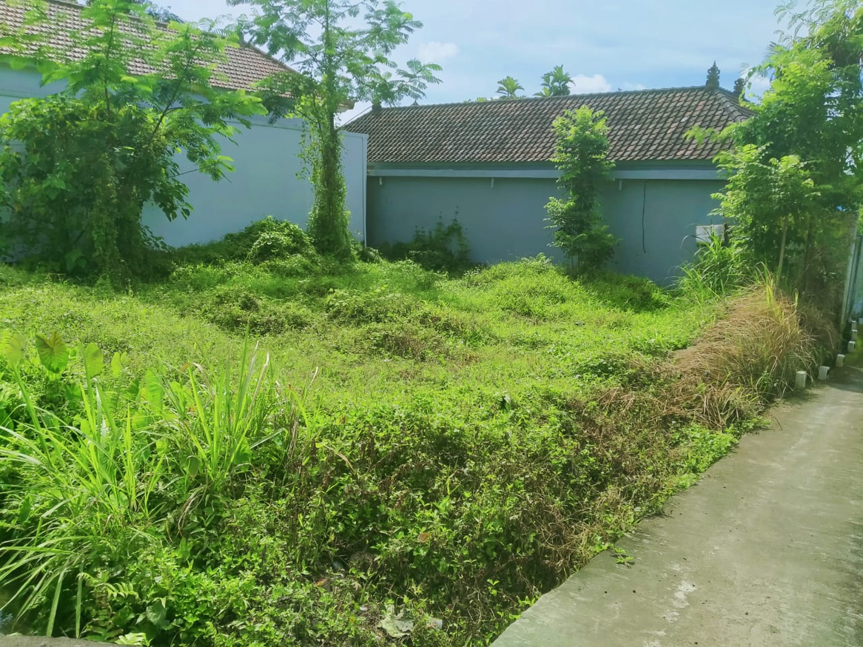 Scenic 2 Are Leasehold Land in Ubud with Rice Field View
