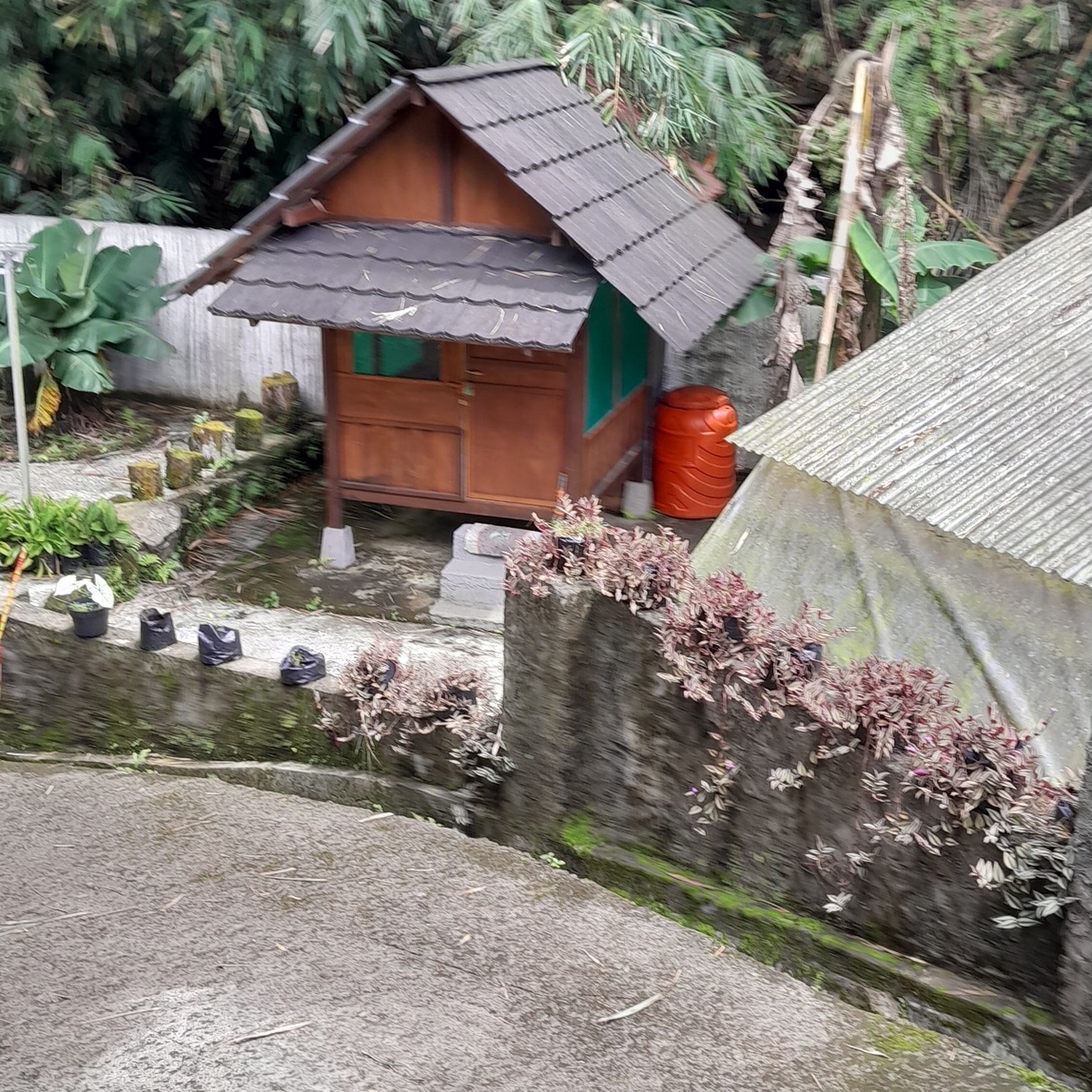 Rumah Tinggal semi Furnish 942 Meter Persegi Diarea Wisata Kaliurang Girikerto Turi Sleman