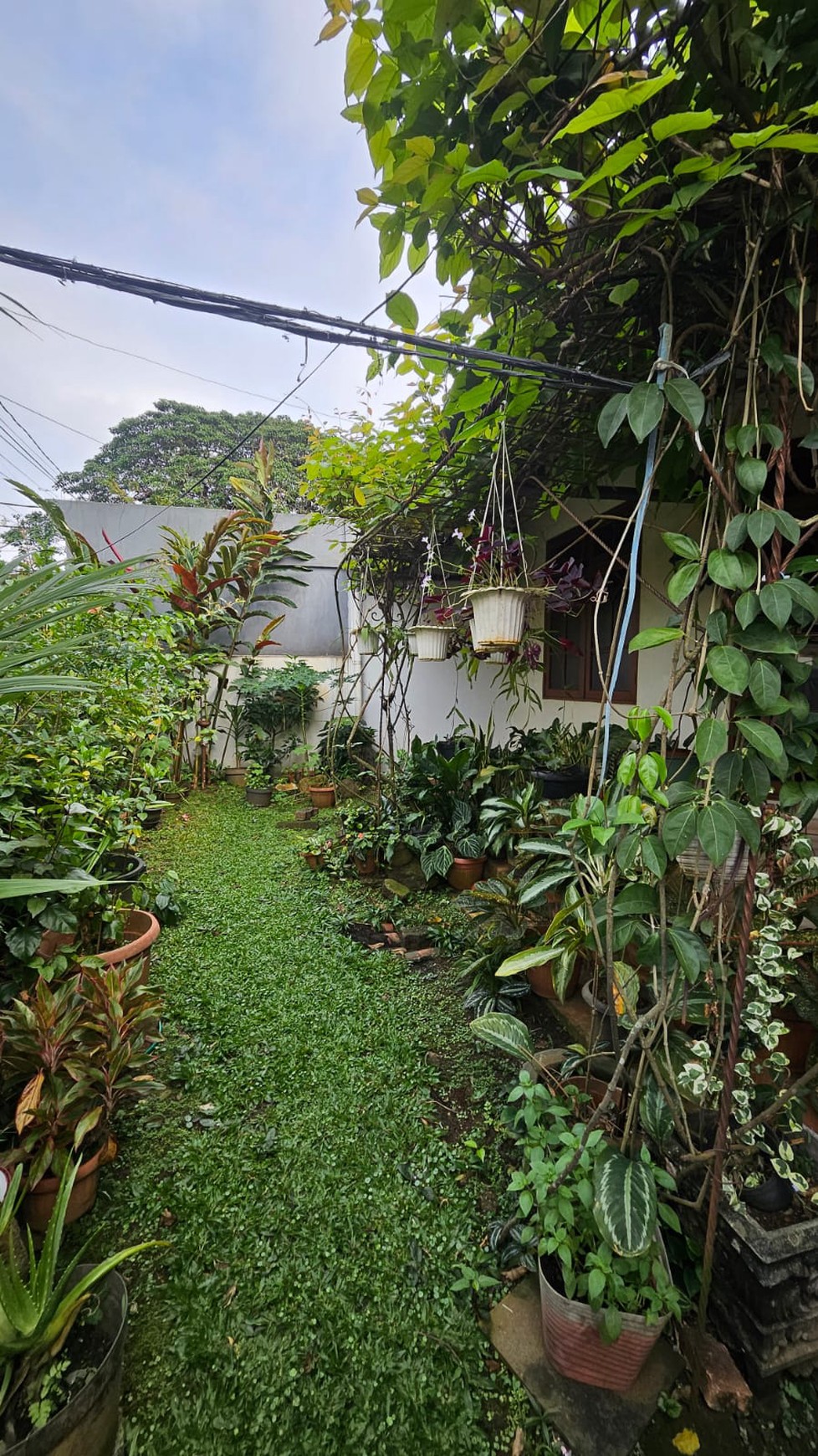 Rumah Bagus Di Jl Kana Lestari Lebak Bulus Jakarta Selatan