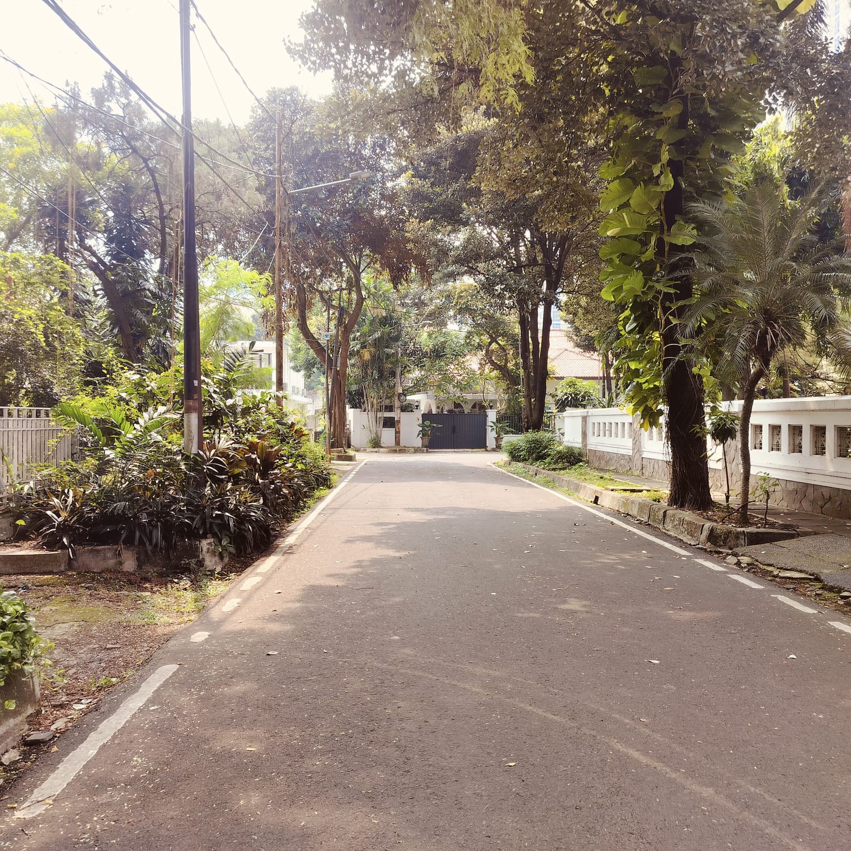 Rumah dikawasan Elit Jl. Prambanan, Menteng. Cocok untuk tempat tinggal Duta Besar, atau guesthouse premium, 10 menit ke Bundaran HI.