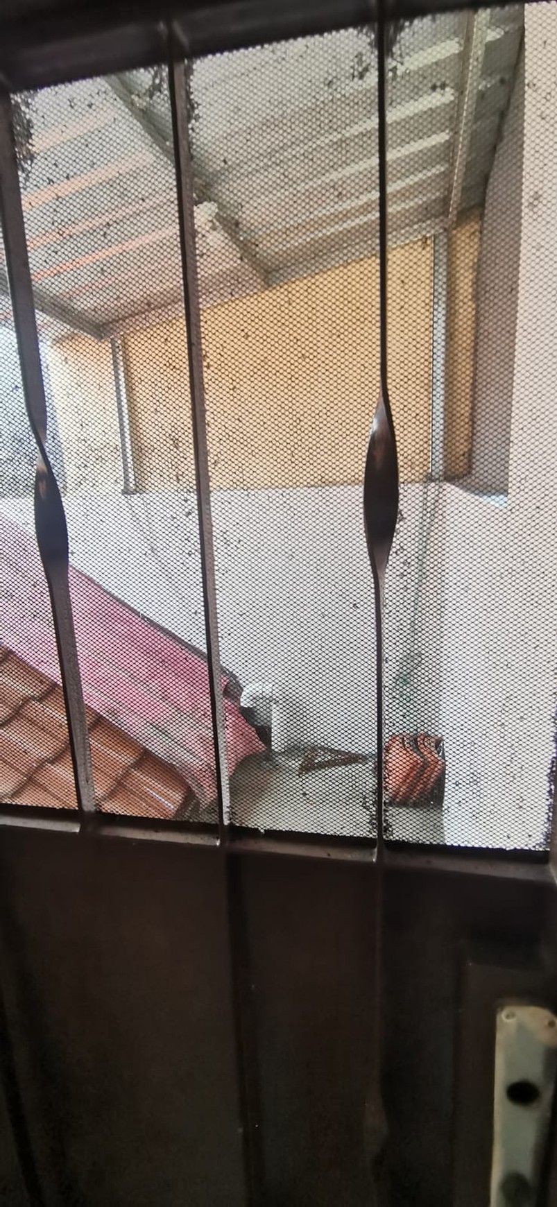 Dapatkan rumah dengan lokasi strategis di Nusaloka BSD 