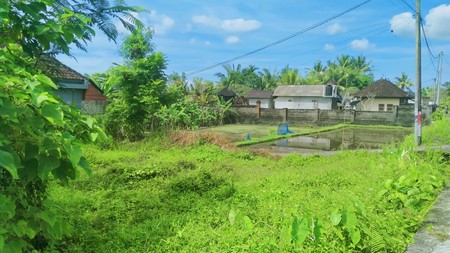 Scenic 2 Are Leasehold Land in Ubud with Rice Field View