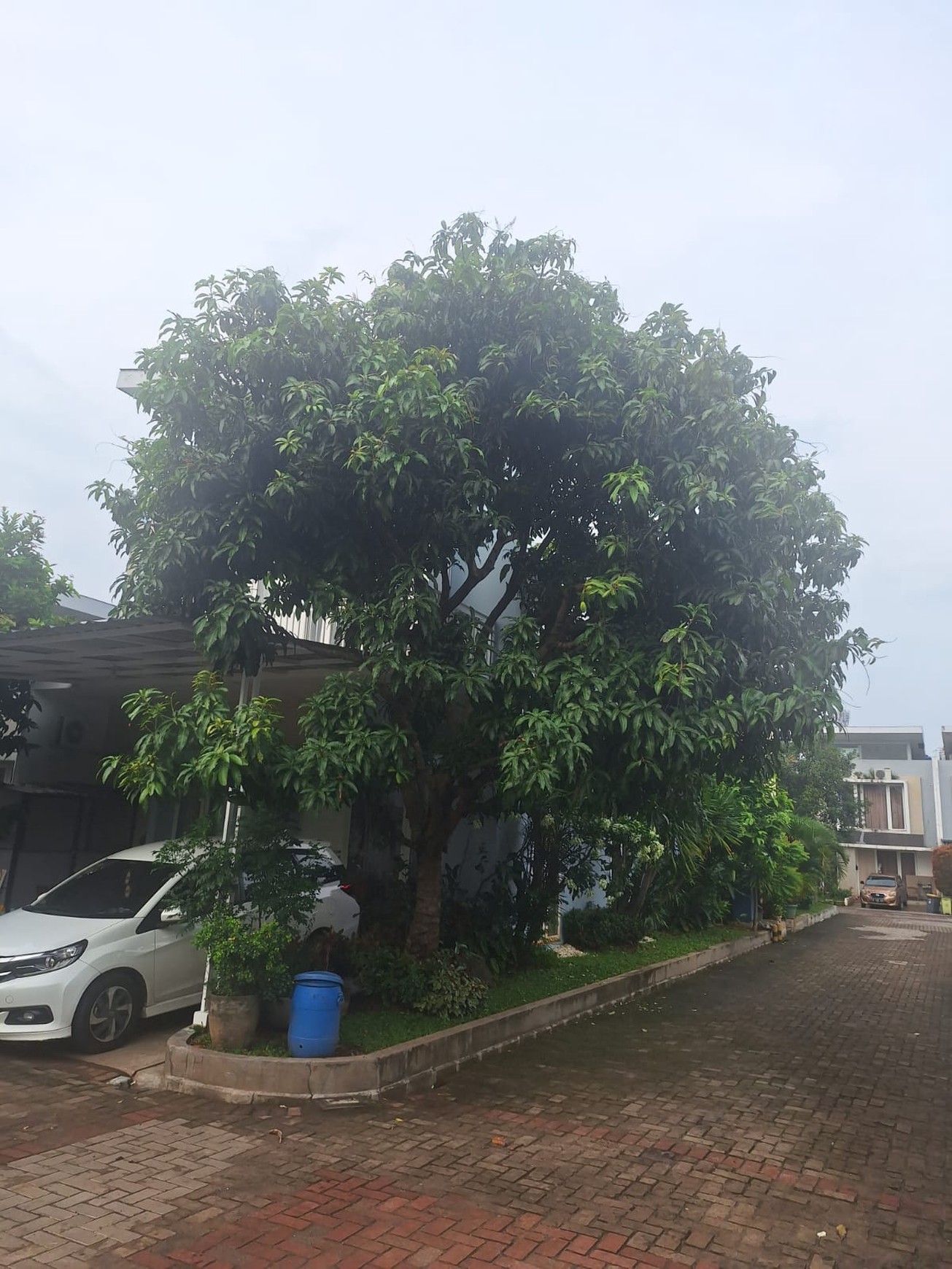 Rumah Bagus Di Paragon Residence BSD Tangerang Selatan