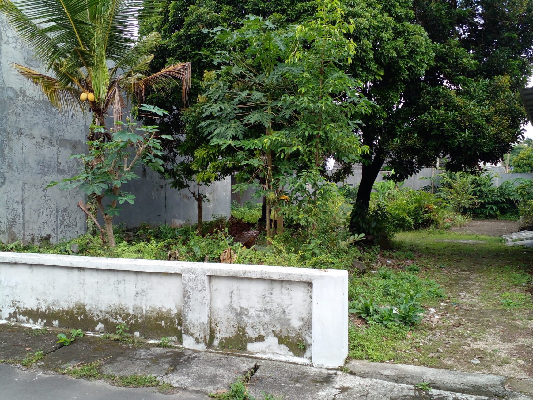 Tanah PEkarangan 192 Meter Persegi Cocok Untuk Rumah Tinggal Di Bangunrejo, Tridadi, Sleman