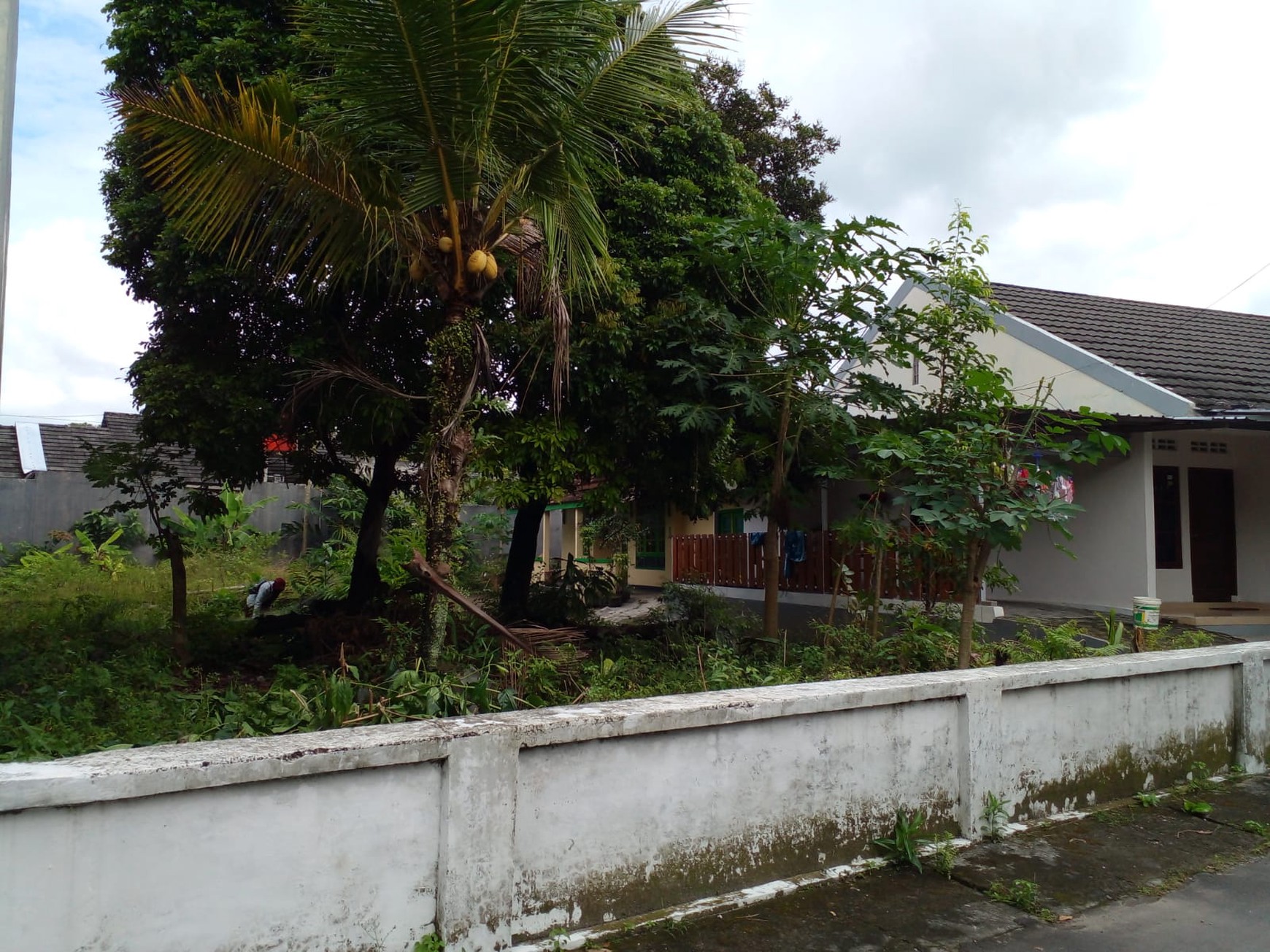 Tanah PEkarangan 192 Meter Persegi Cocok Untuk Rumah Tinggal Di Bangunrejo, Tridadi, Sleman
